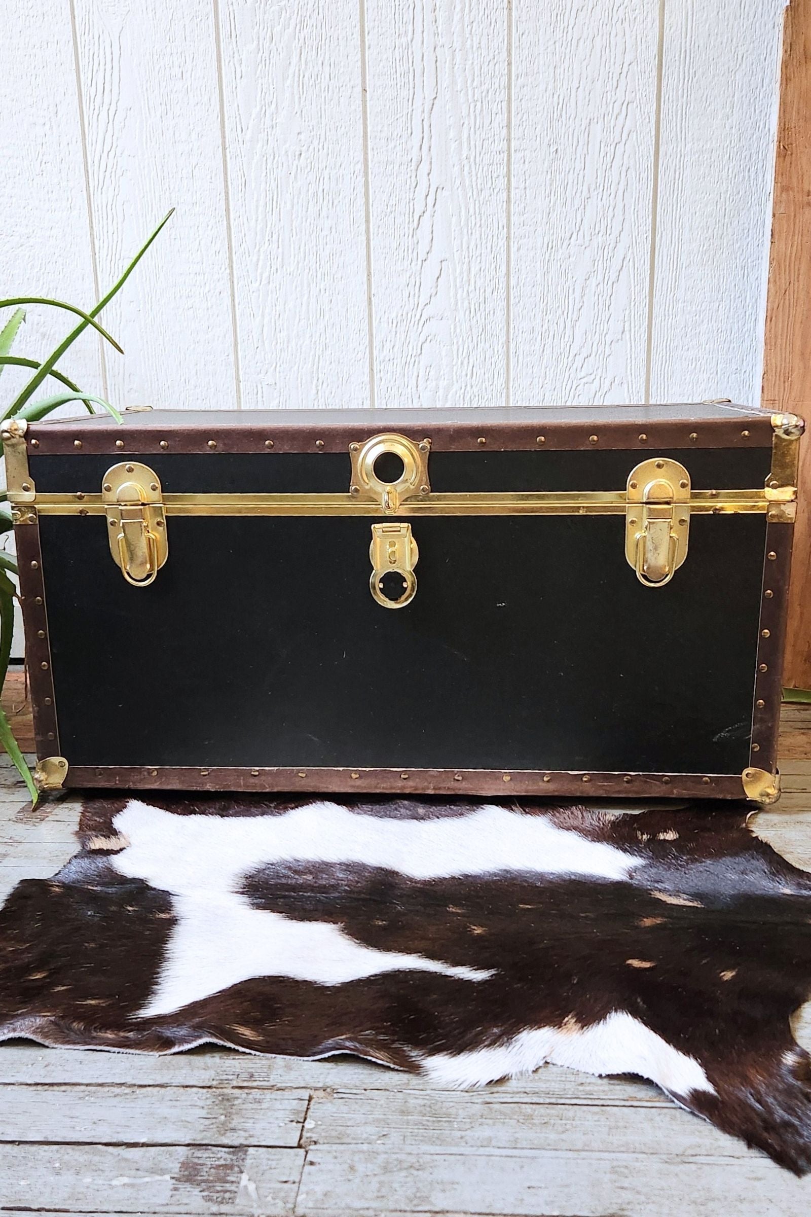 Dark Brown & White Goat Hide Rug #436