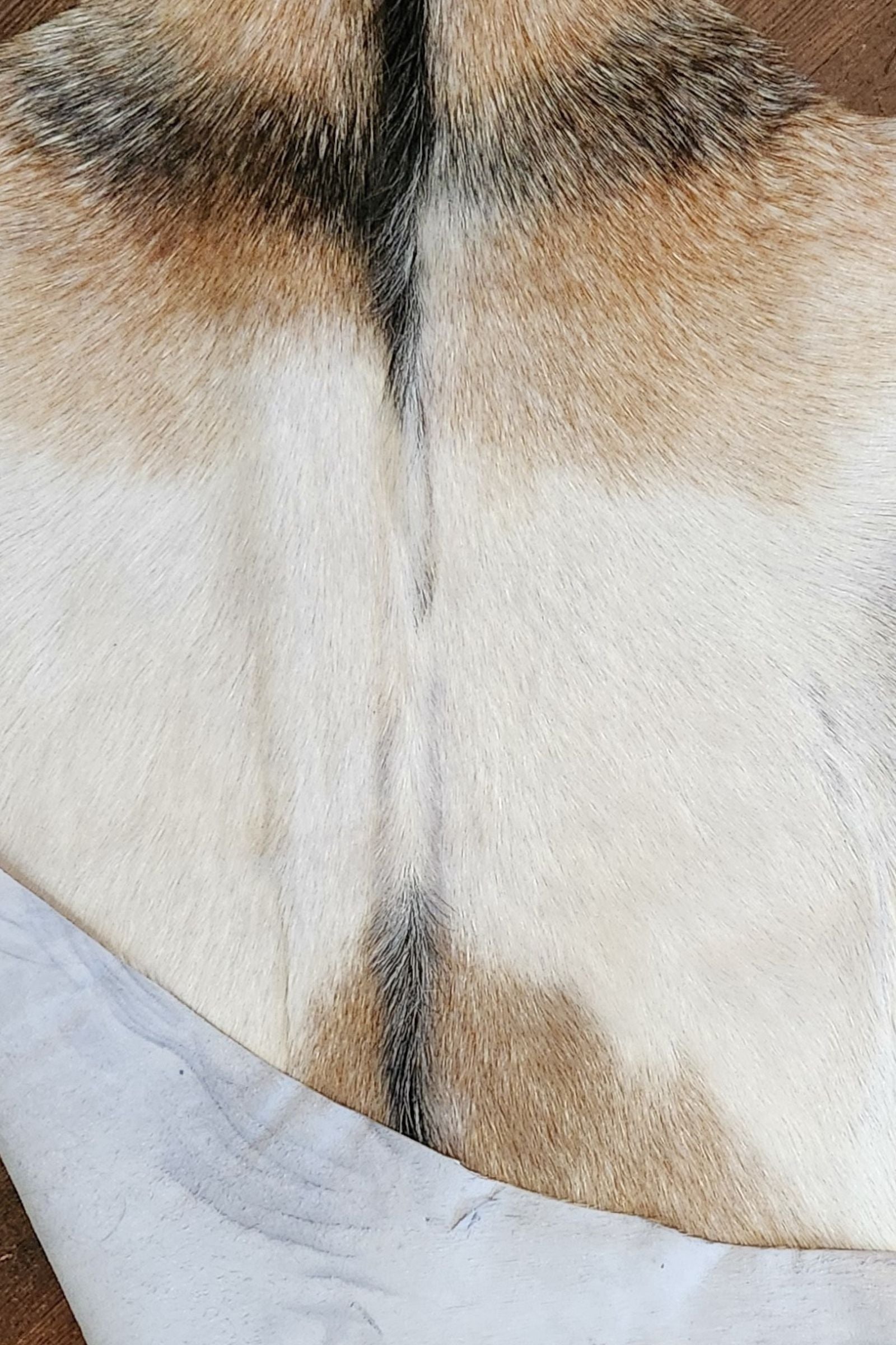 White & Brown Goat Hide Rug #437