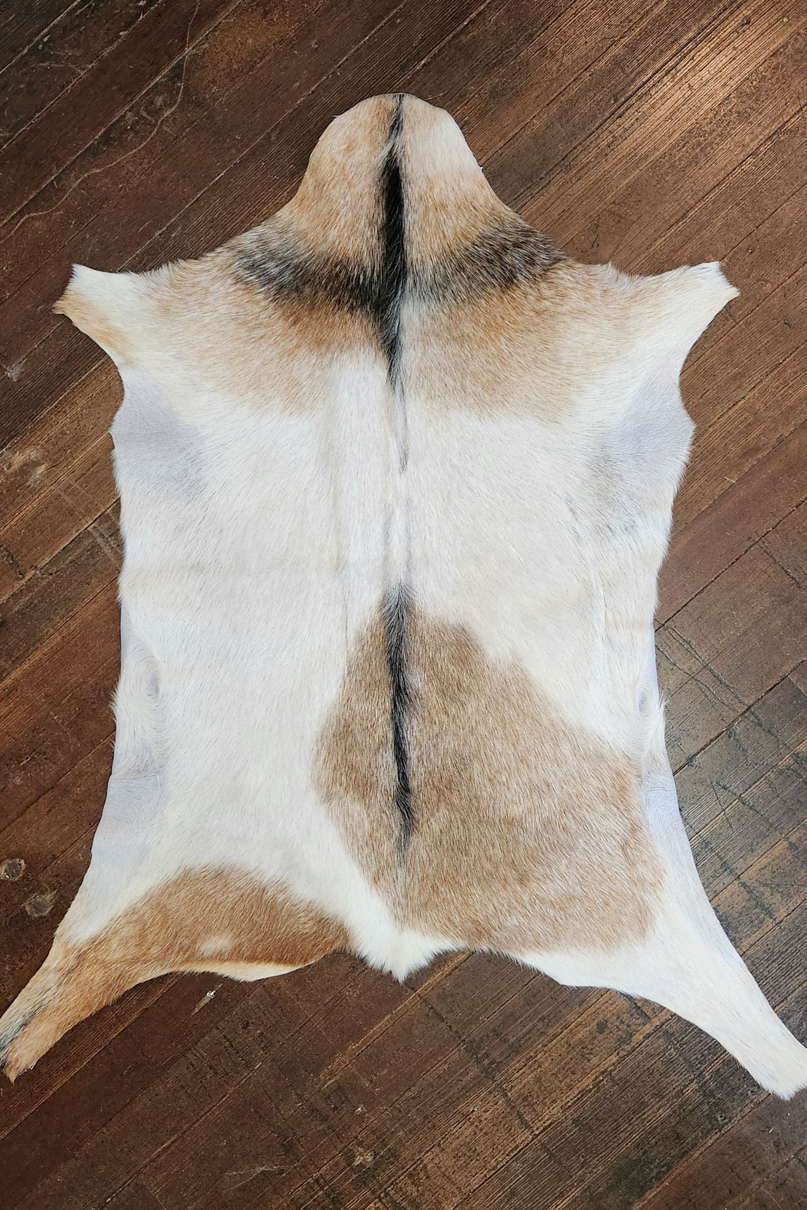 White & Brown Goat Hide Rug #437