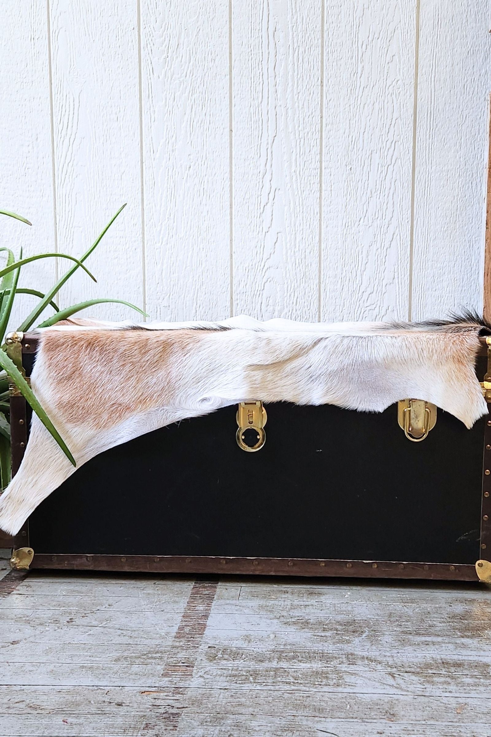 White & Brown Goat Hide Rug #437