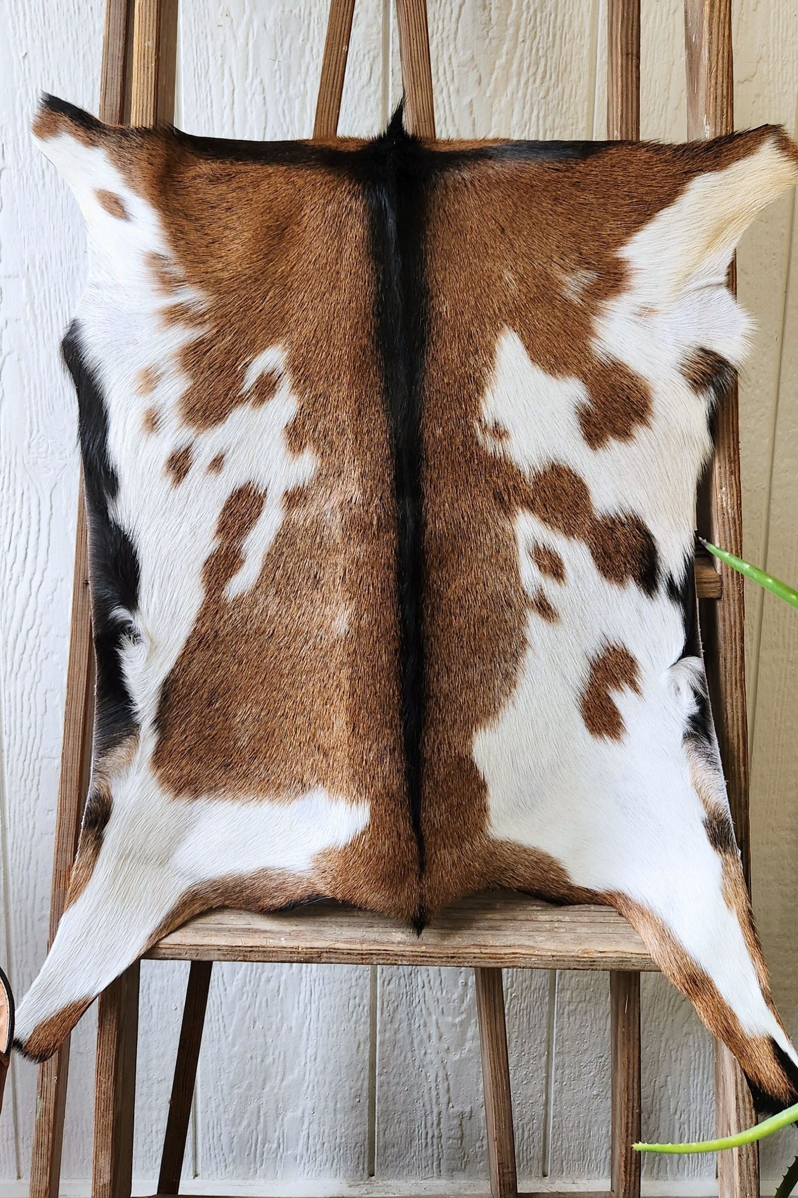 Brown & White Goat Hide Rug #439