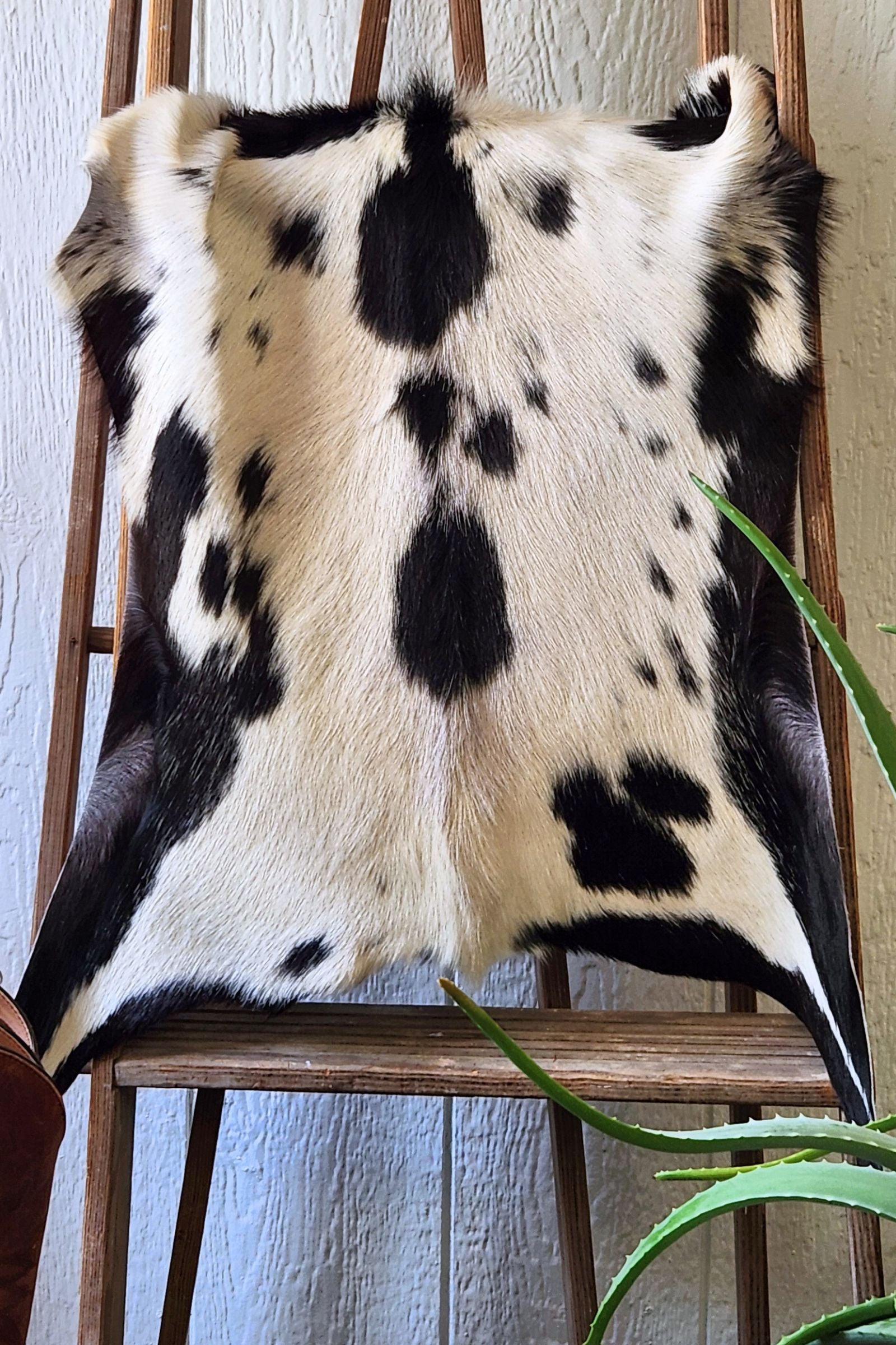 White & Black Spotted Goat Hide Rug #440
