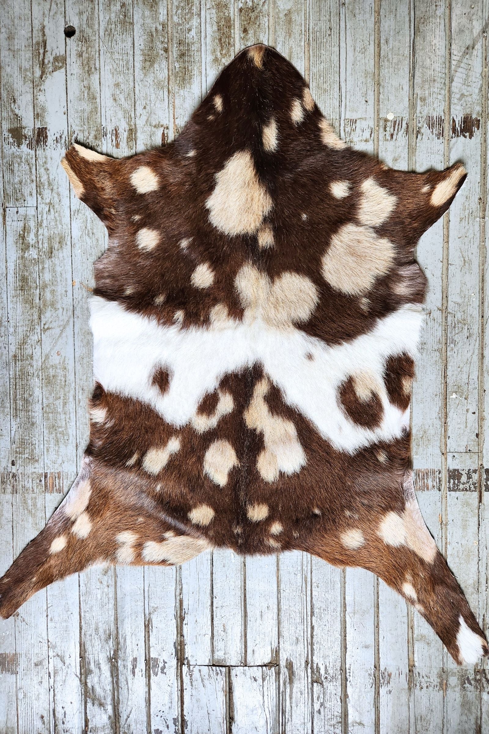 Dark Brown & White Spotted Goat Hide Rug #441