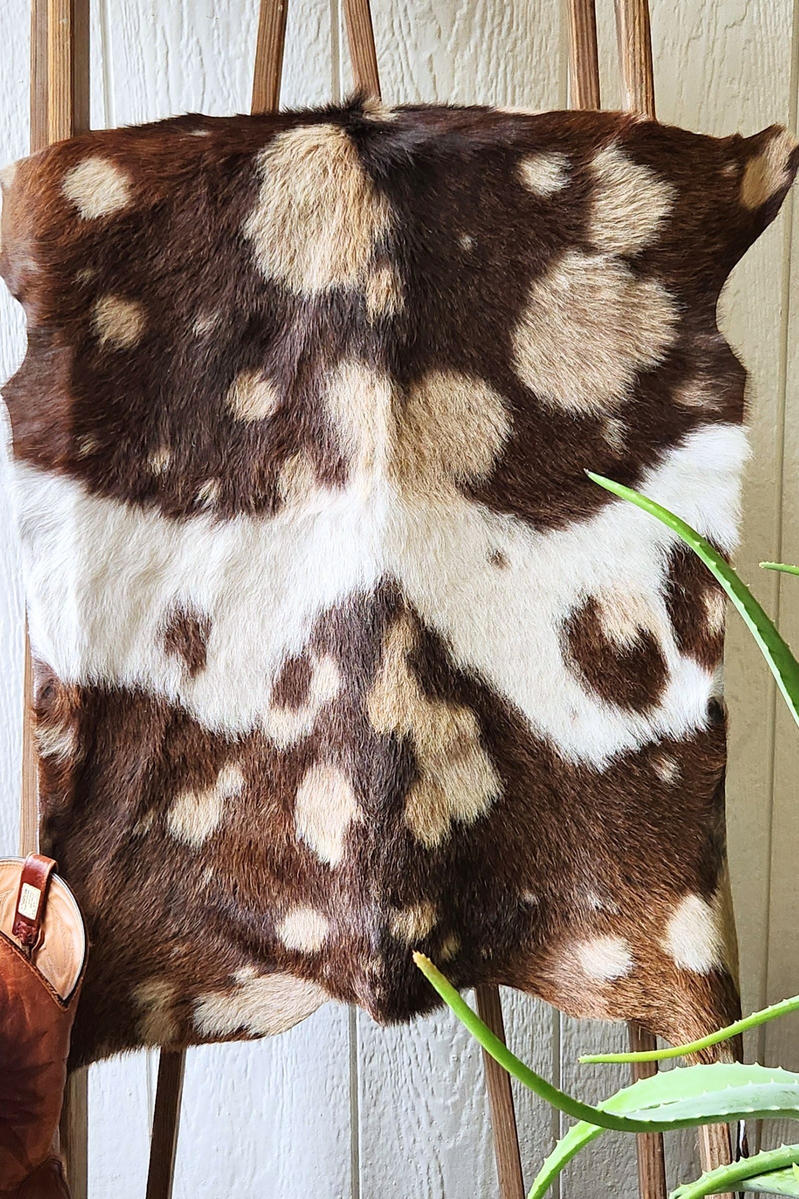 Dark Brown & White Spotted Goat Hide Rug #441