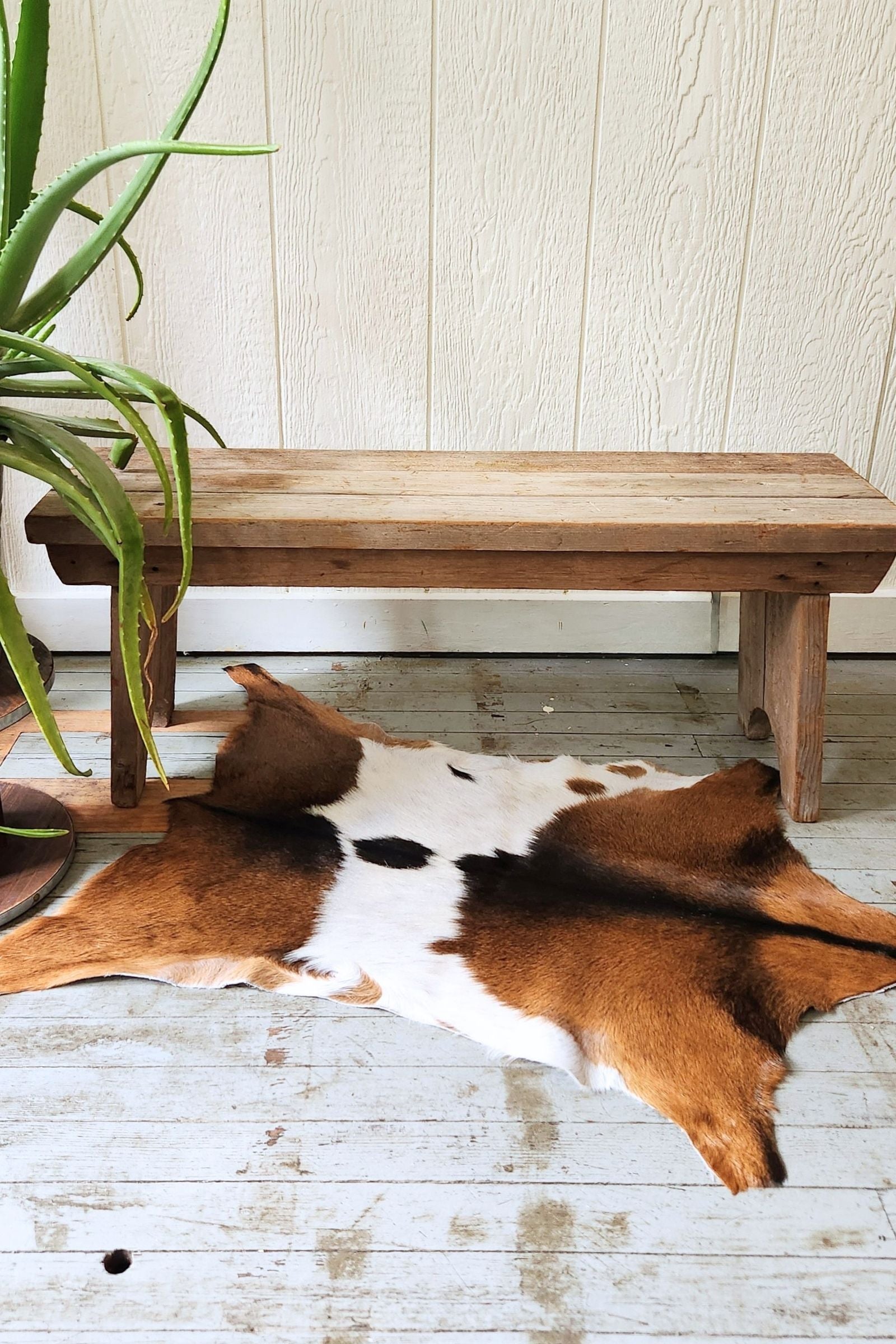 Brown & White Goat Hide Rug #442
