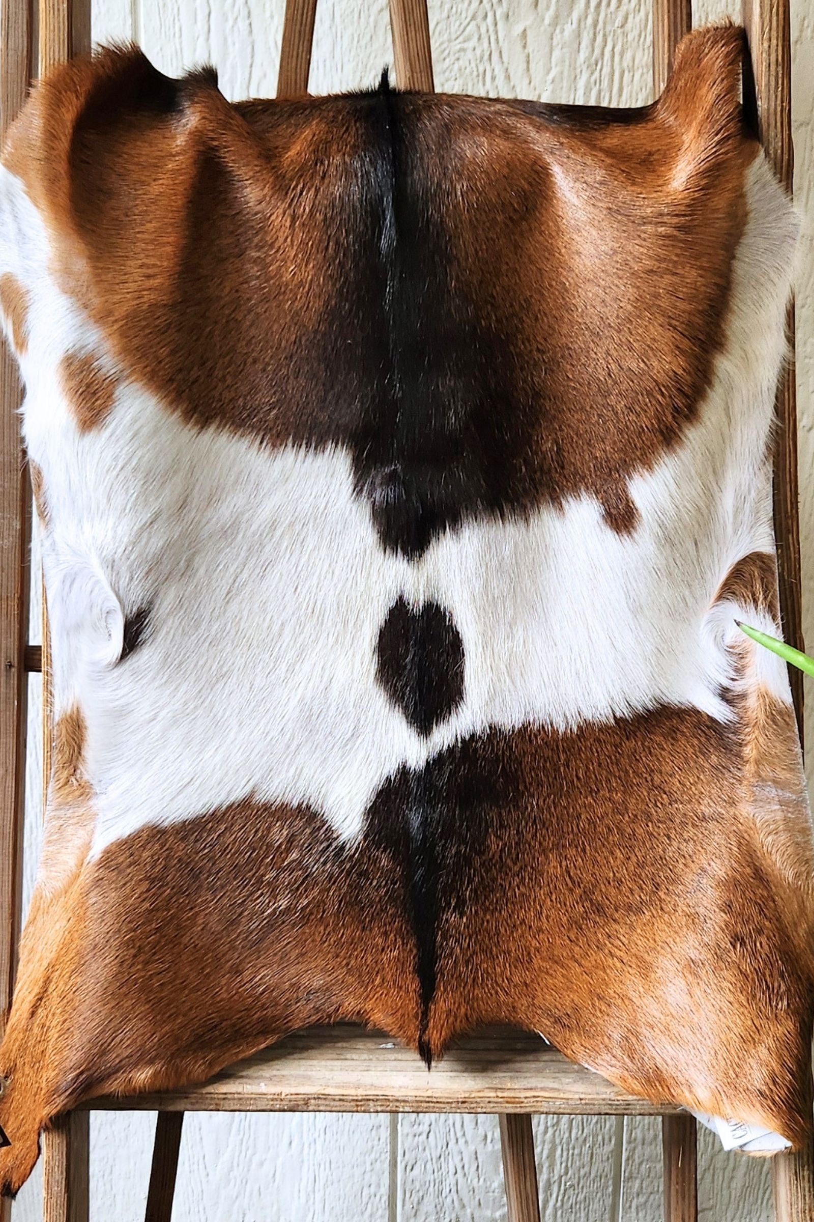 Brown & White Goat Hide Rug #442