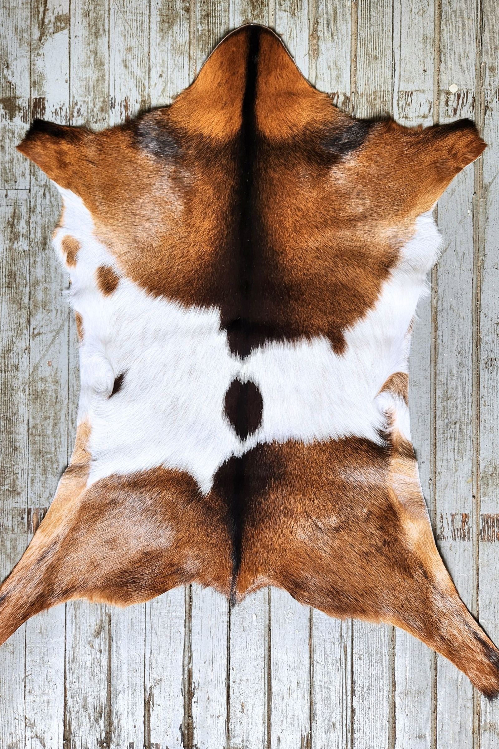 Brown & White Goat Hide Rug #442