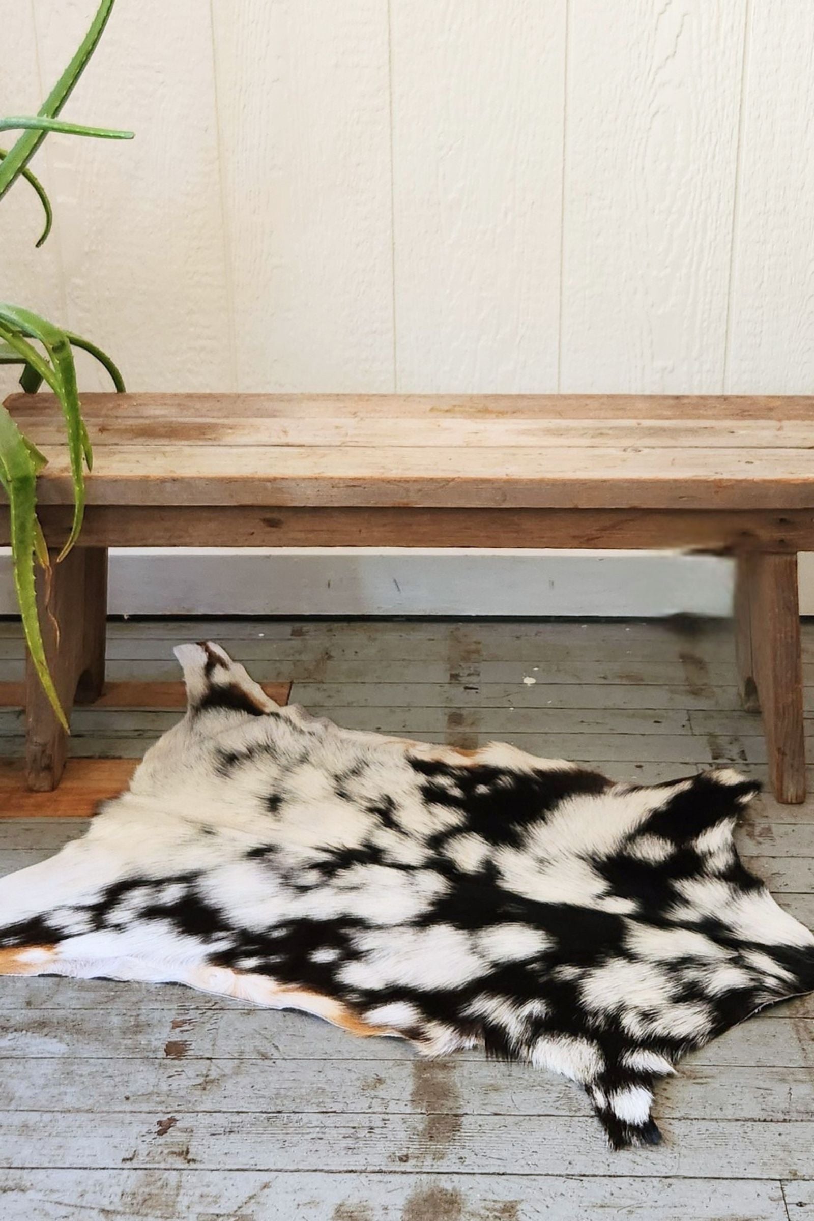 White & Black Spotted Goat Hide Rug #443