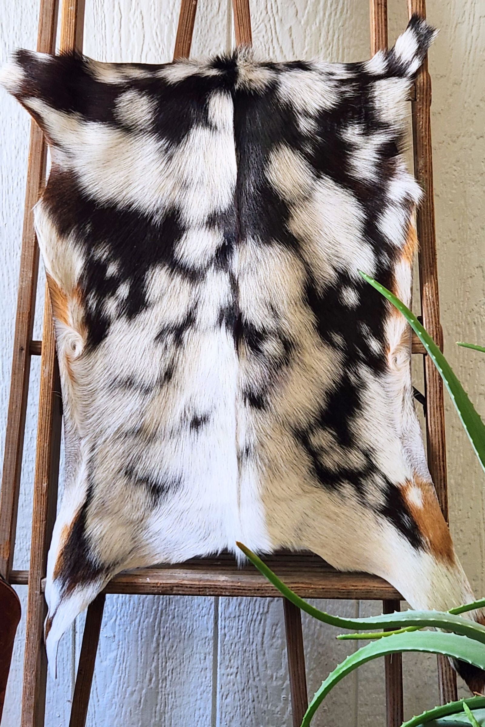 White & Black Spotted Goat Hide Rug #443