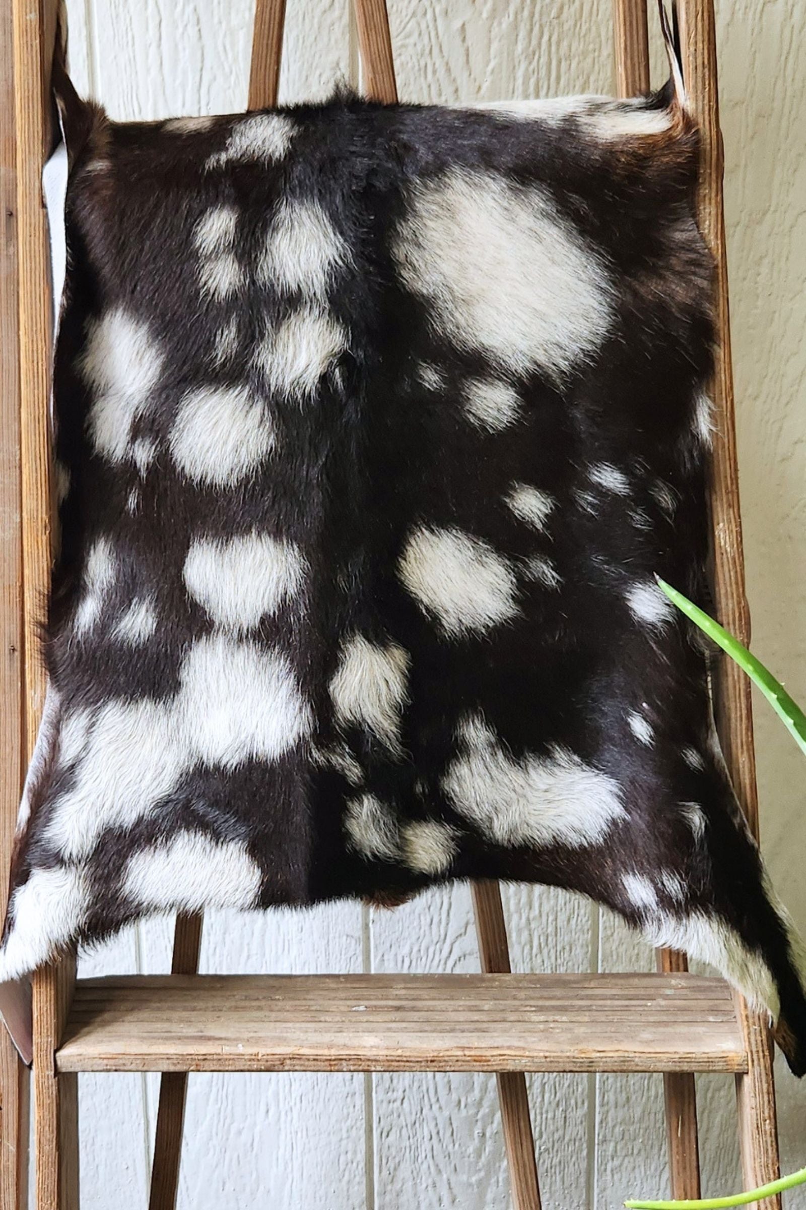 Black & White Spotted Goat Hide Rug #444