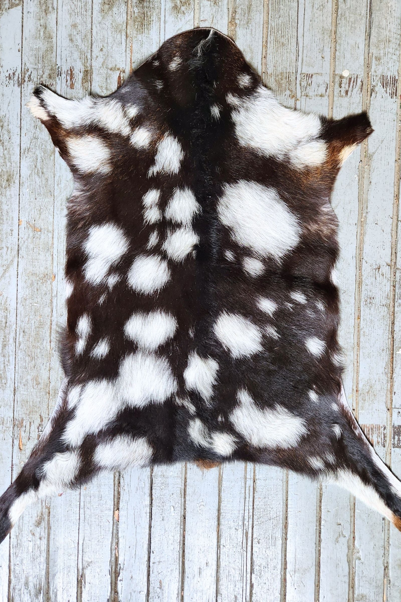 Black & White Spotted Goat Hide Rug #444