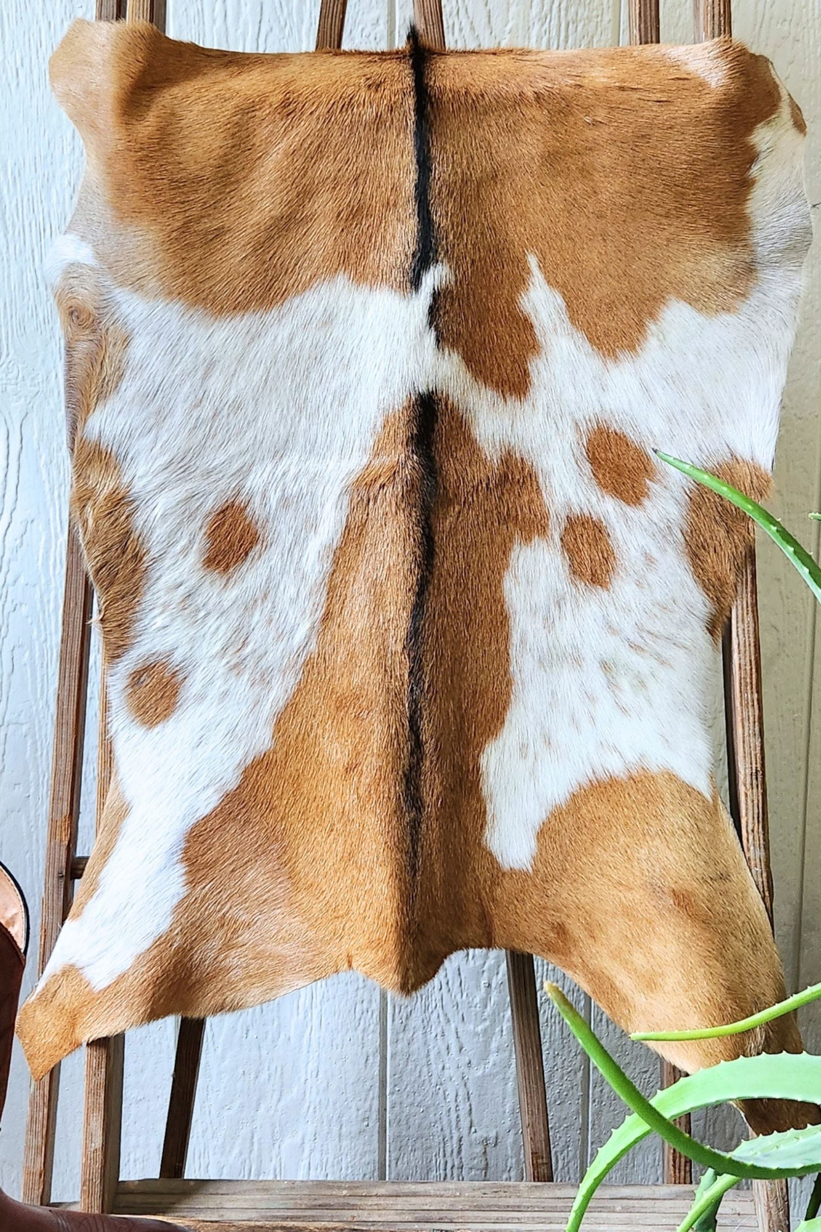 White & Brown Spotted Goat Hide Rug #447