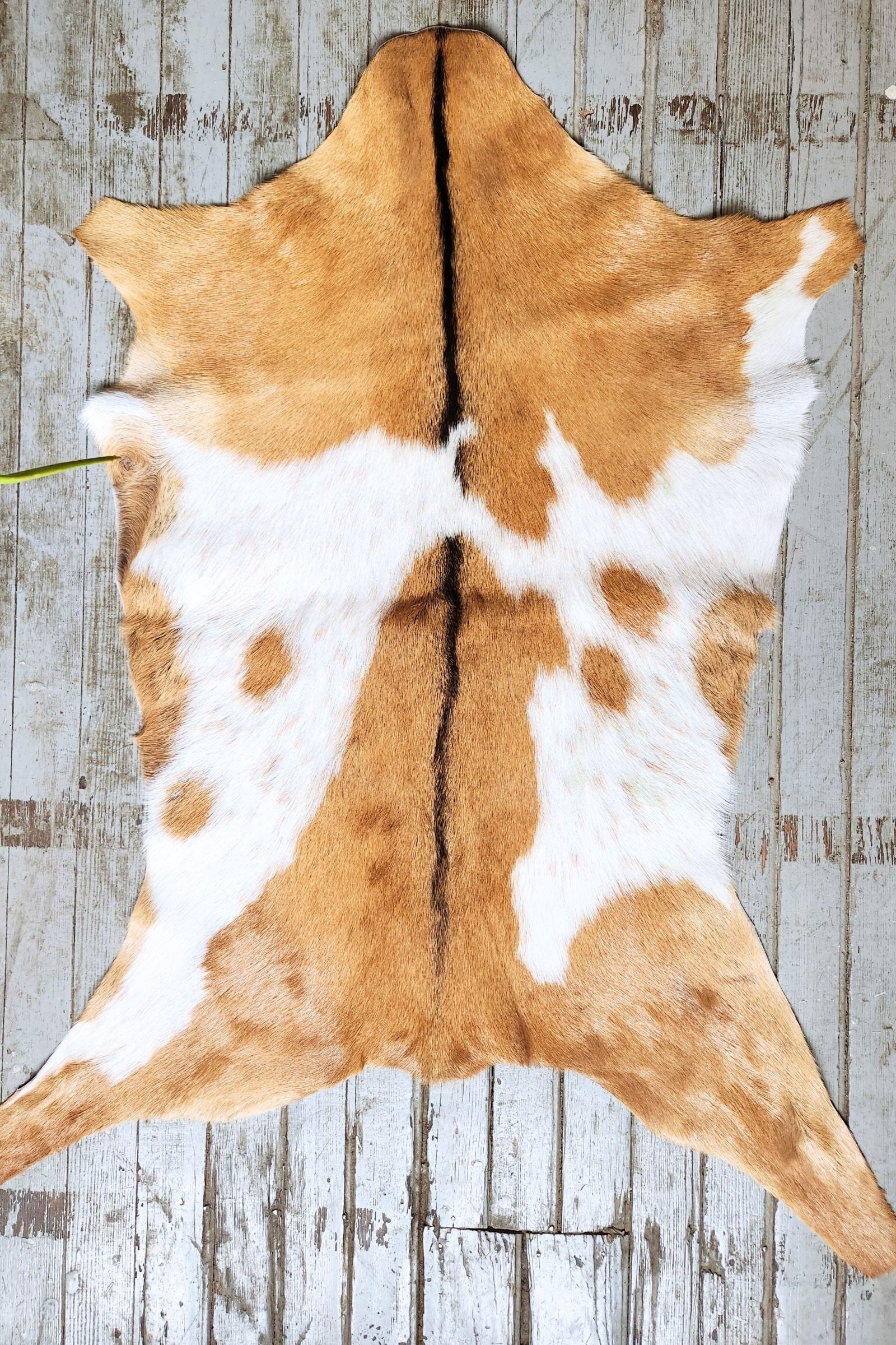 White & Brown Spotted Goat Hide Rug #447