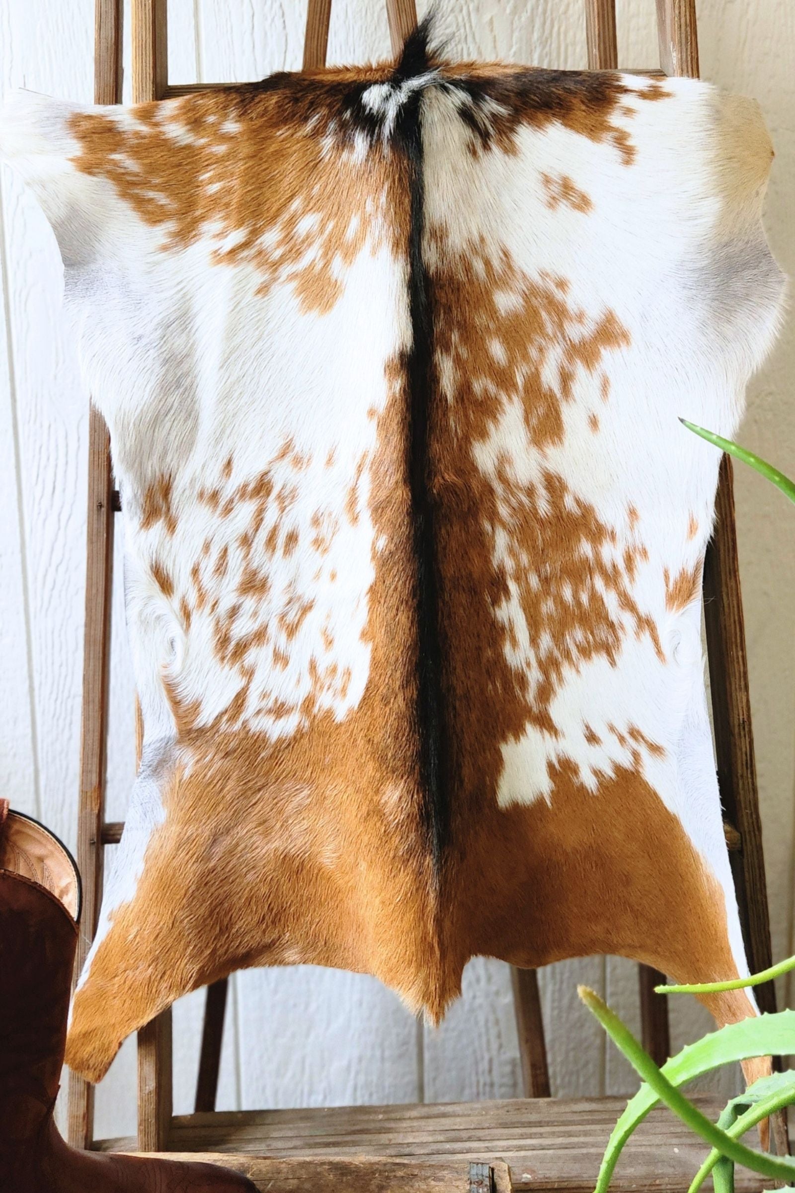 Brown & White Speckled Goat Hide Rug #449