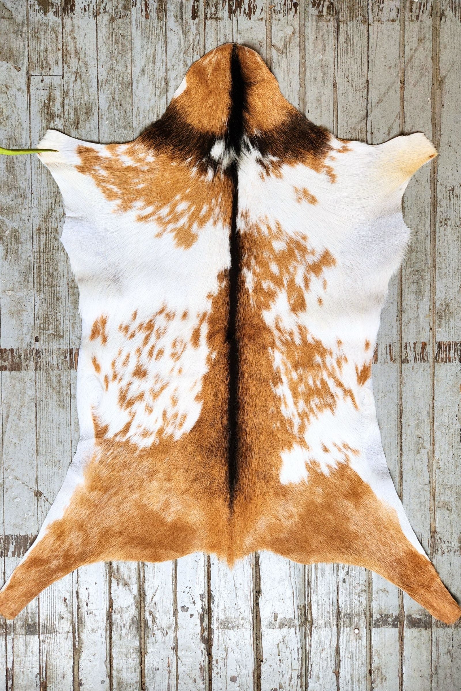 Brown & White Speckled Goat Hide Rug #449