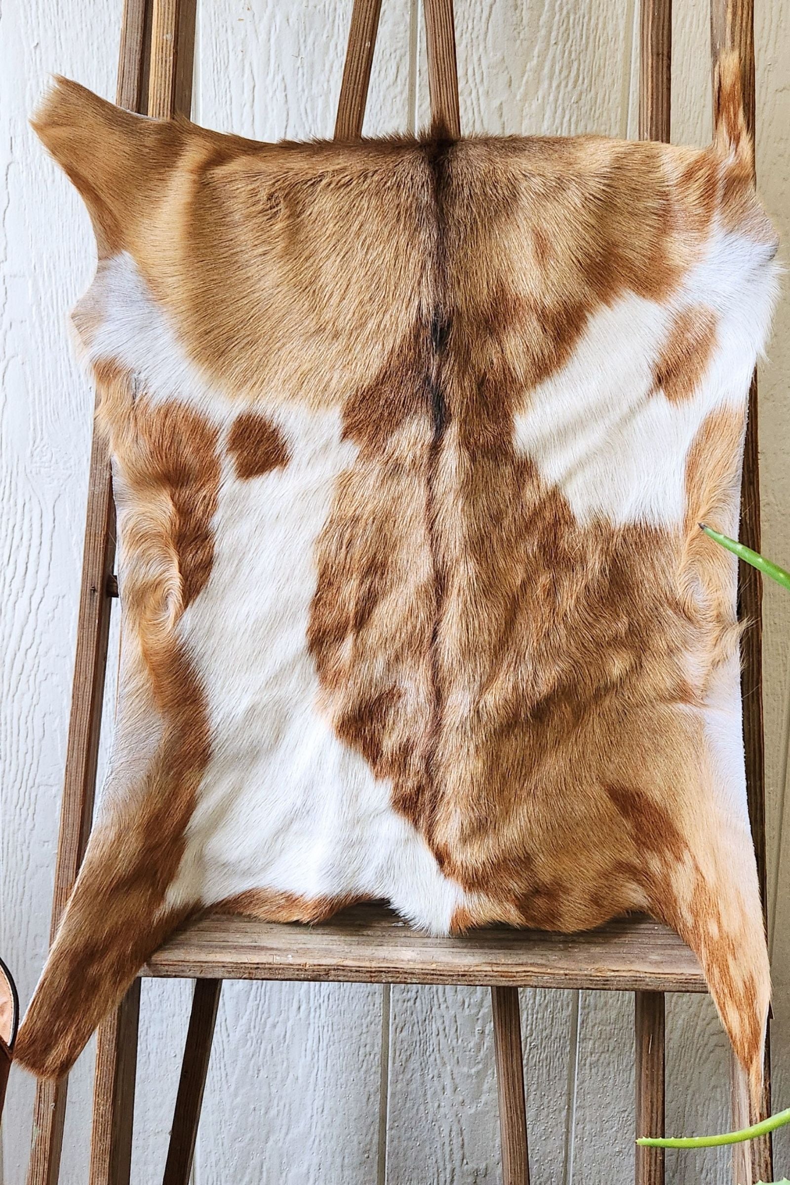 White & Tan Goat Hide Rug #450