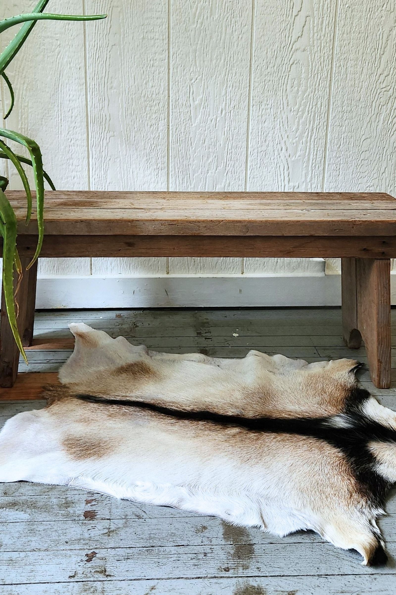 White & Brown Goat Hide Rug #451
