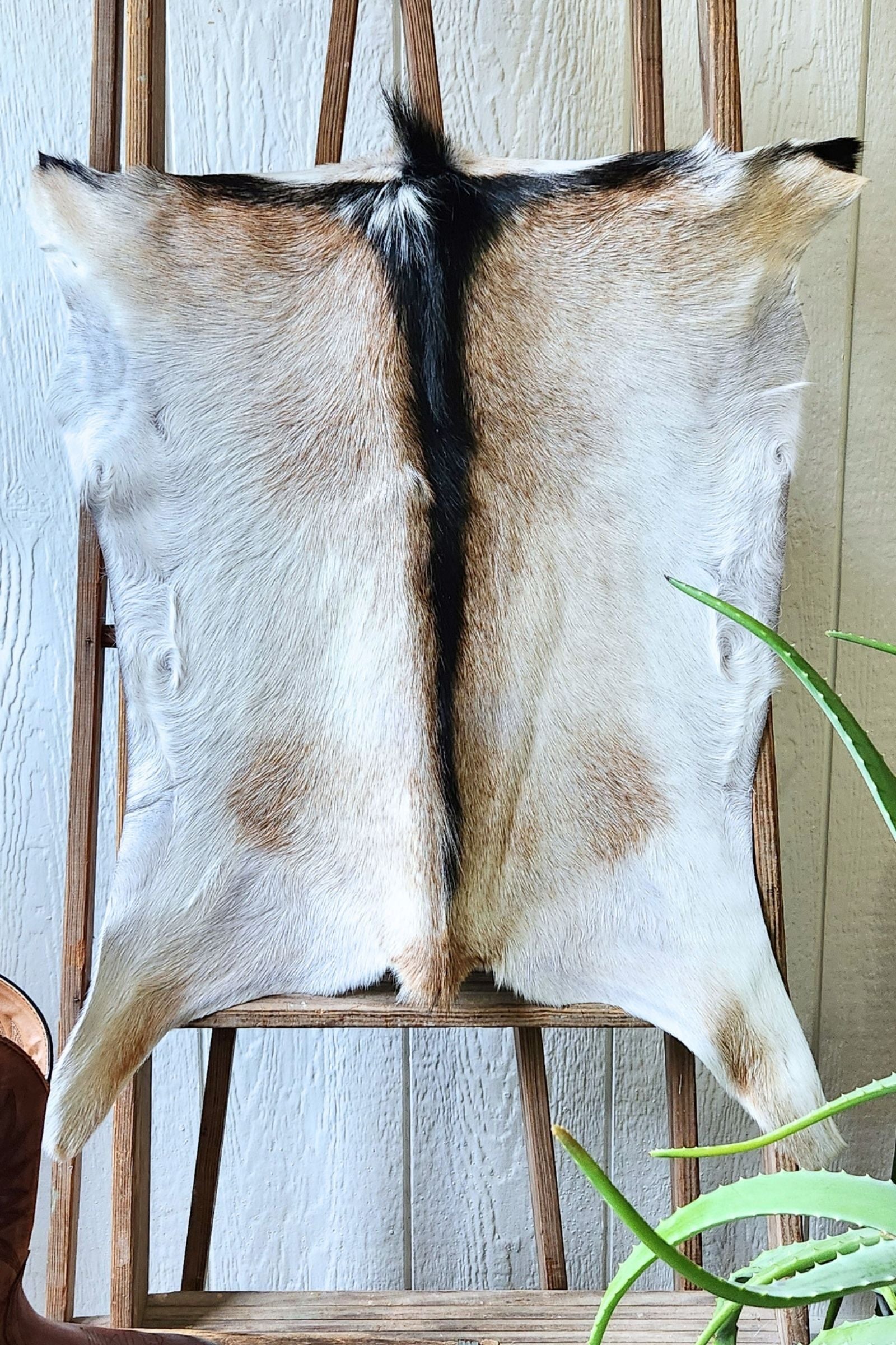 White & Brown Goat Hide Rug #451