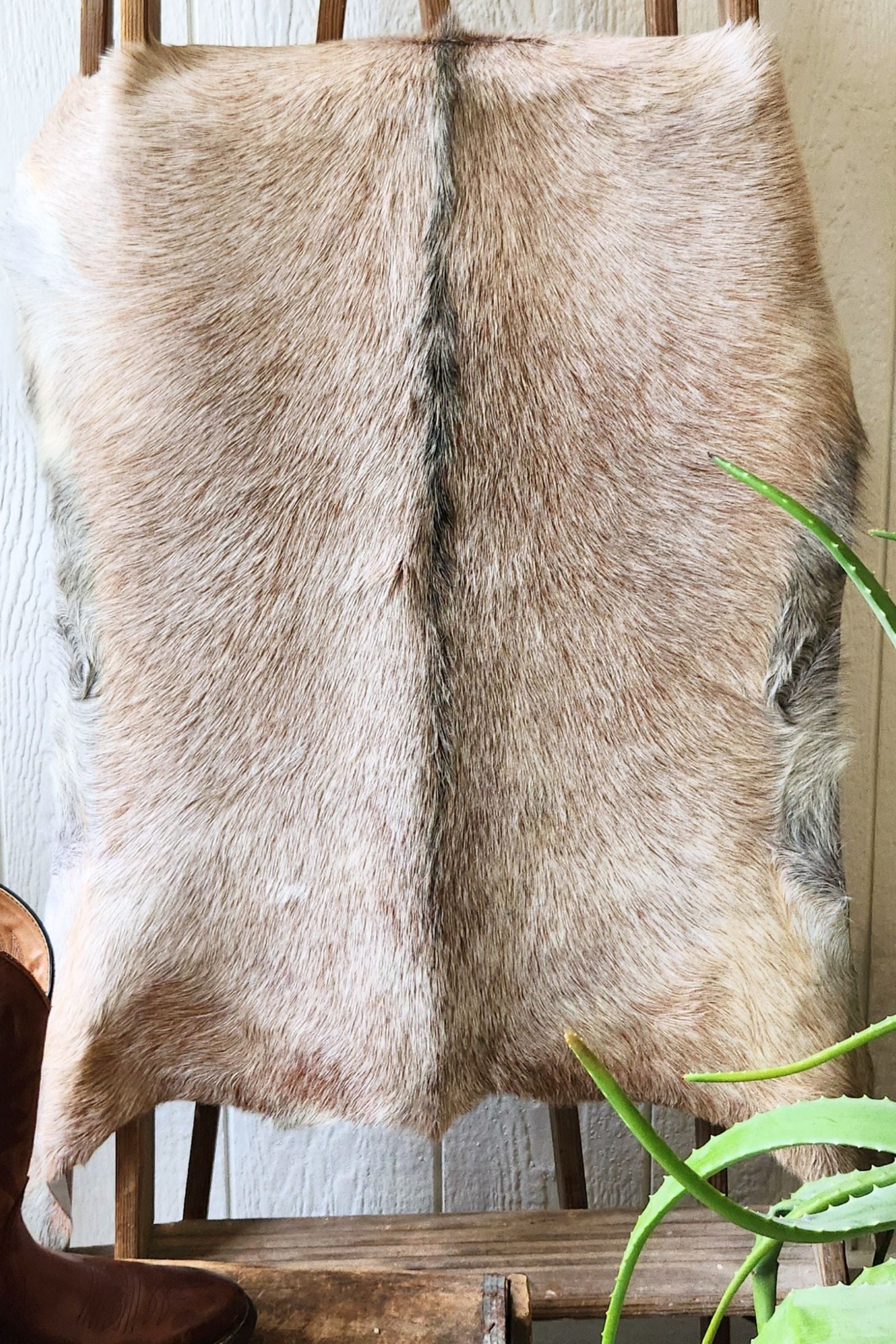 Roan Goat Hide Rug #452
