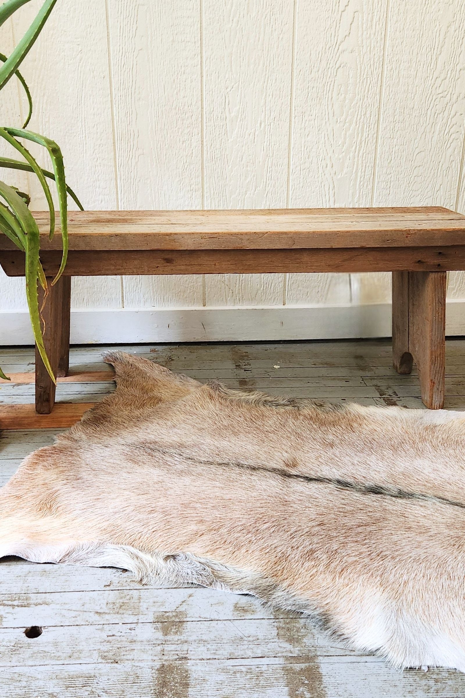 Roan Goat Hide Rug #452