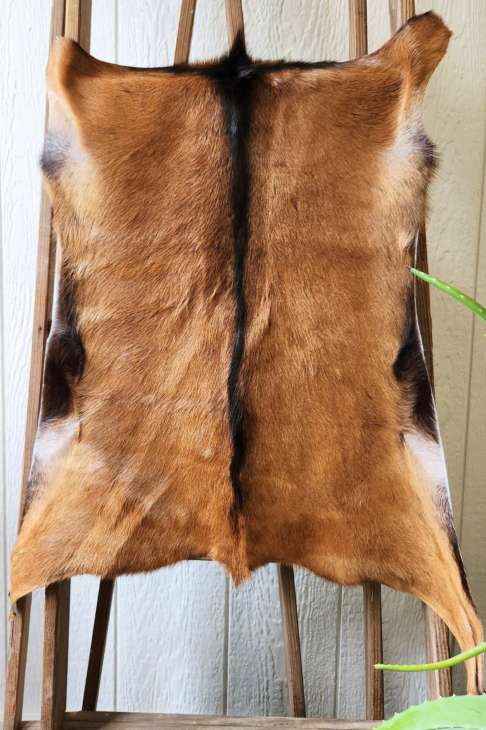 Brown Goat Hide Rug #453