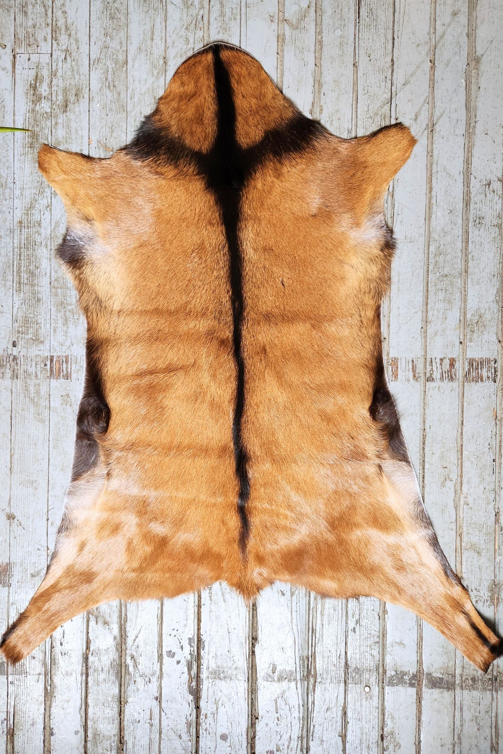 Brown Goat Hide Rug #453