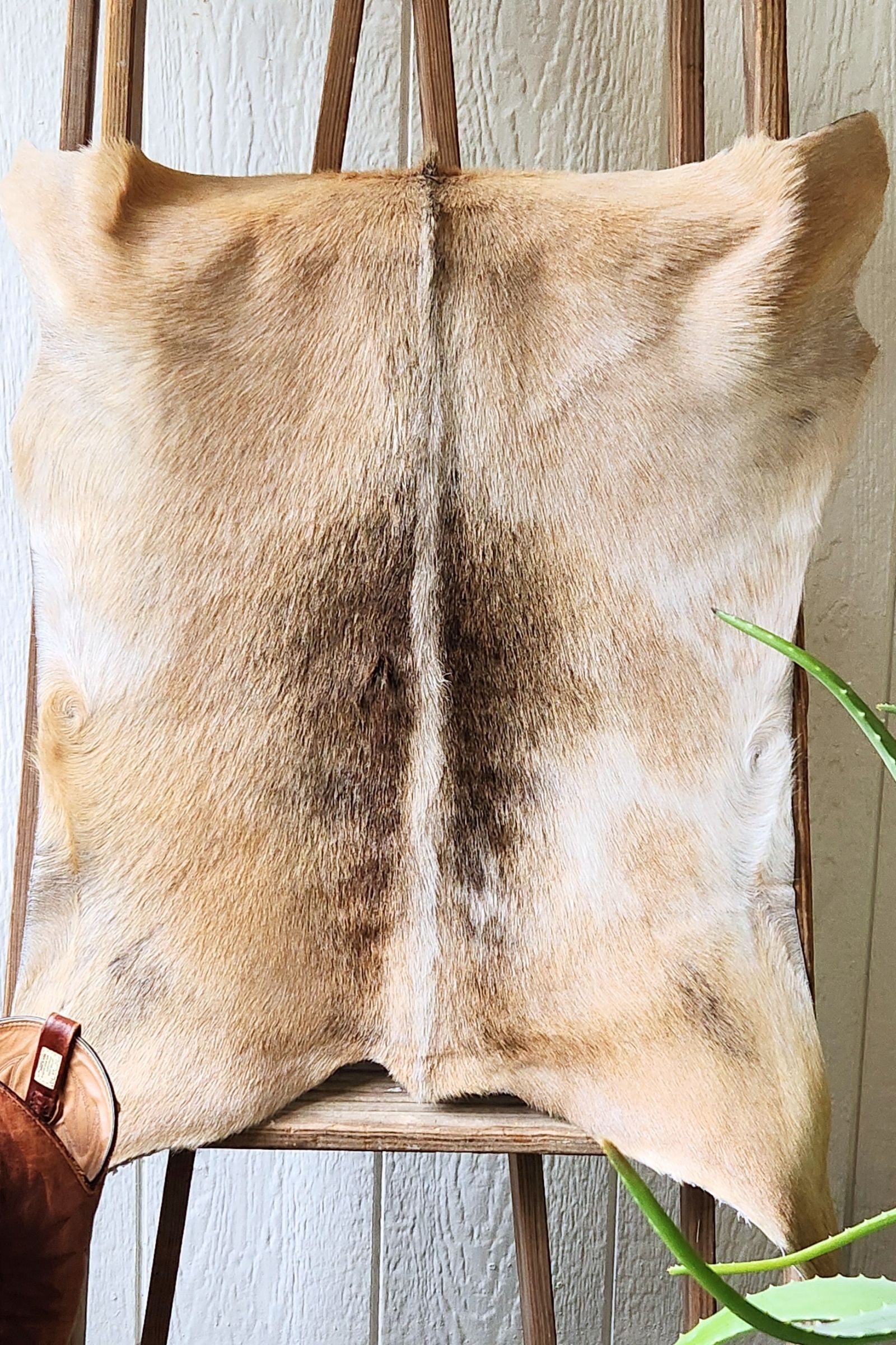 Blonde Goat Hide Rug #454