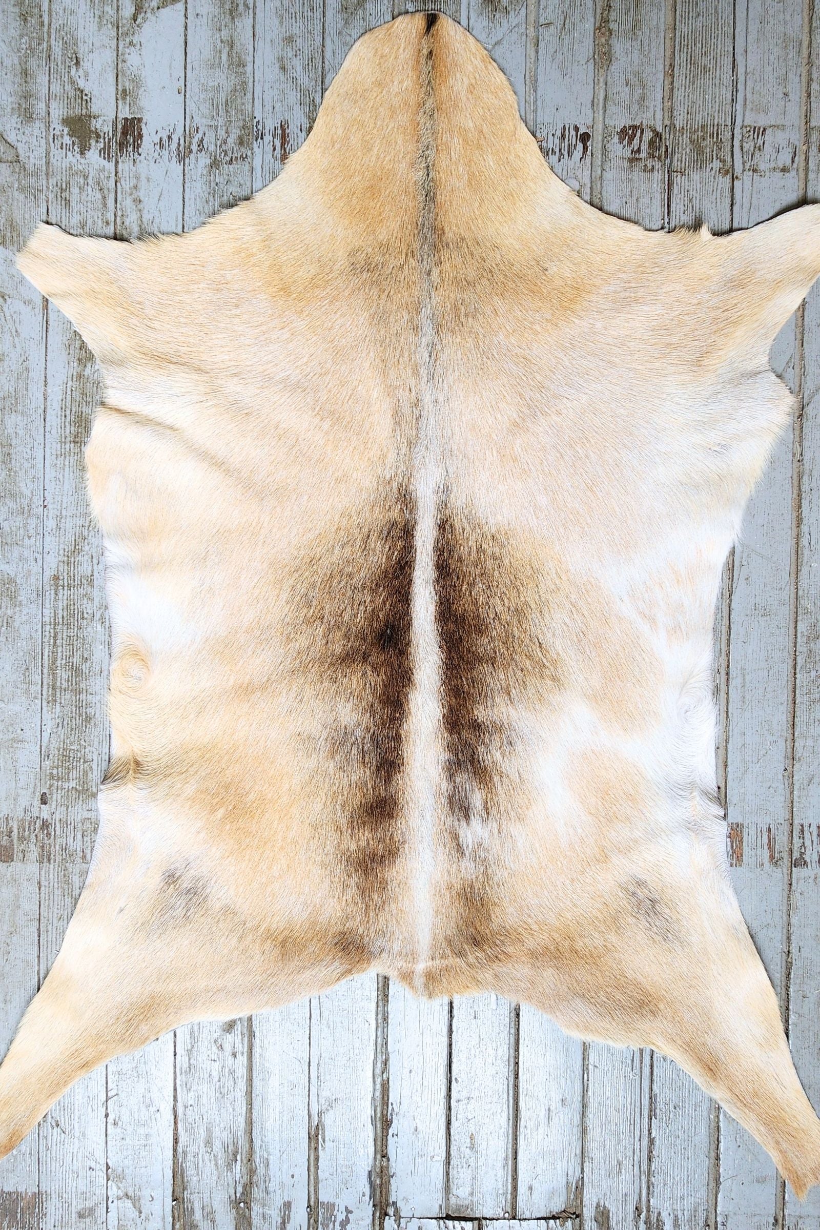 Blonde Goat Hide Rug #454