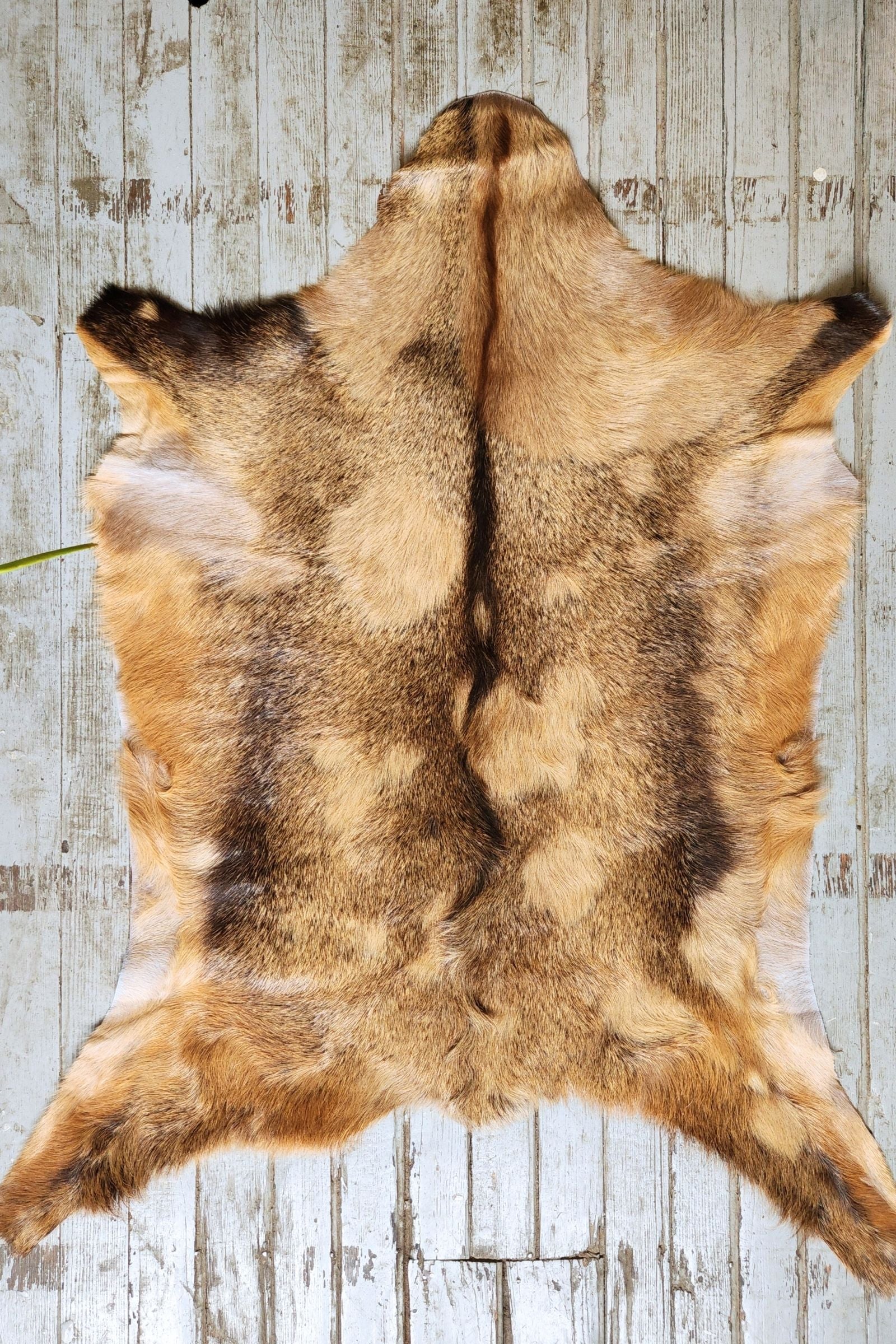 Light Brown & Tan Goat Hide Rug #455