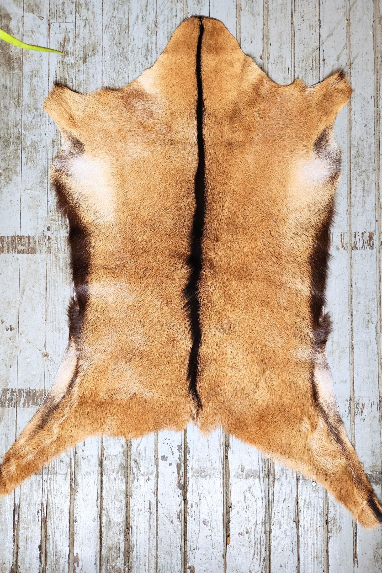 Brown Goat Hide Rug #456