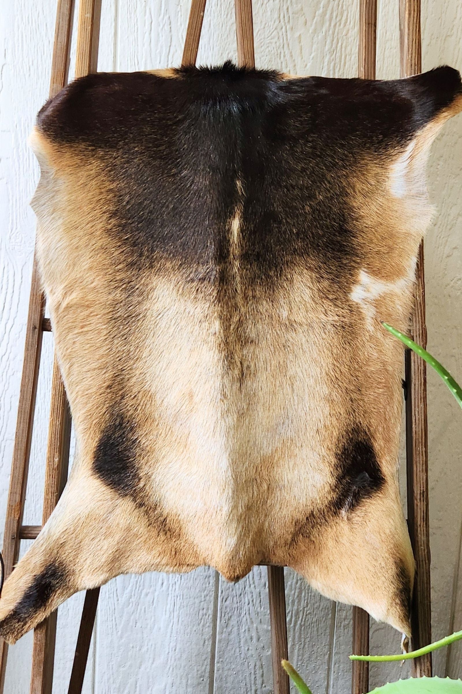Blonde & Brown Goat Hide Rug #457