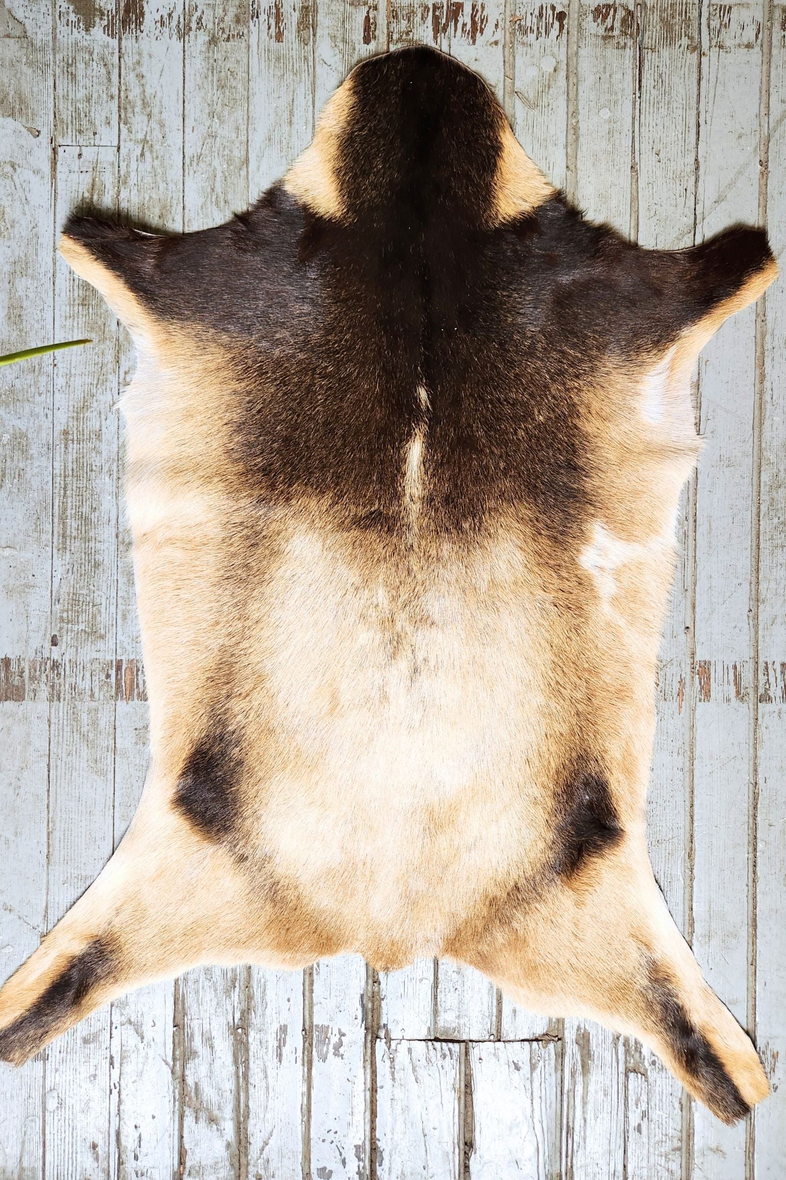 Blonde & Brown Goat Hide Rug #457