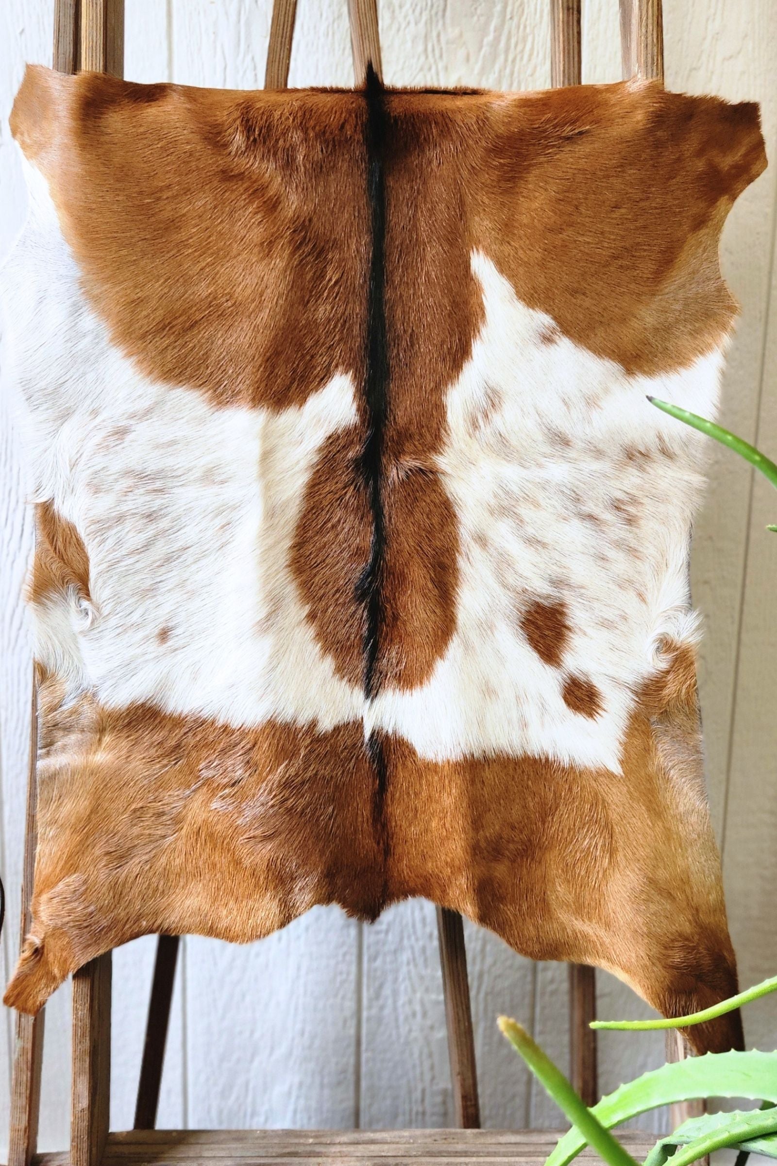 White & Brown Goat Hide Rug #458