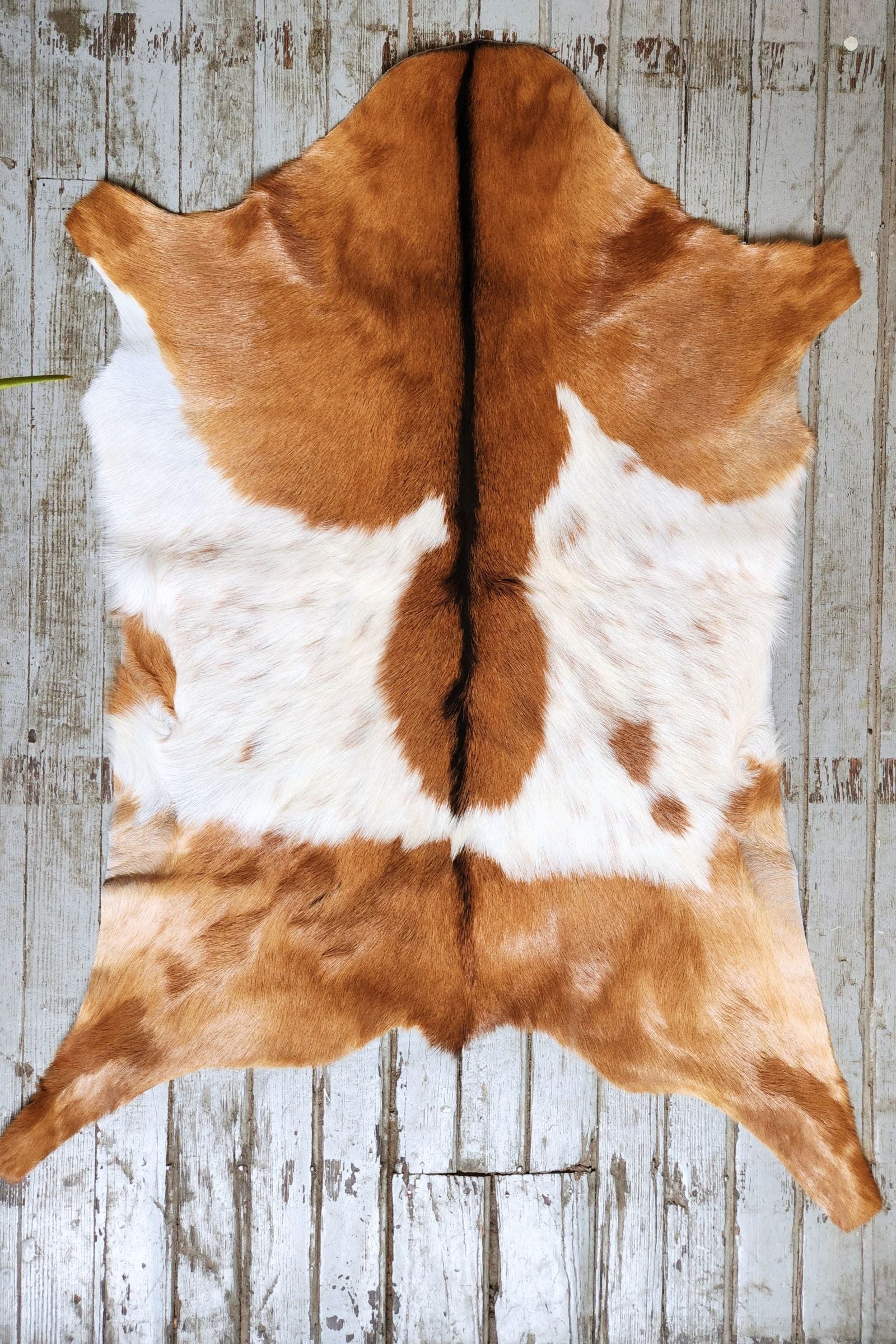 White & Brown Goat Hide Rug #458
