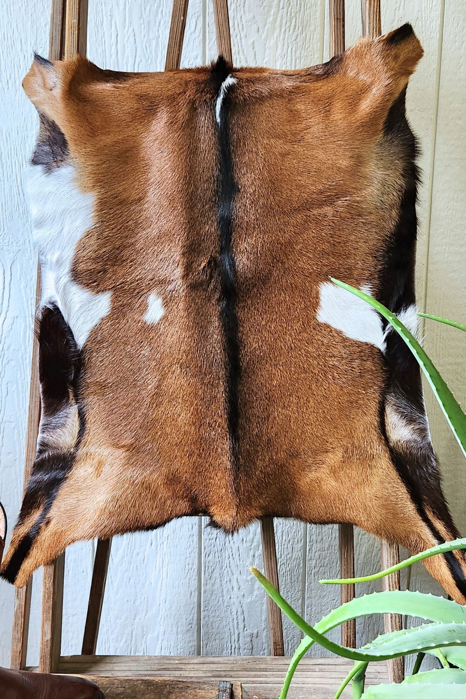 Brown & White Goat Hide Rug #459