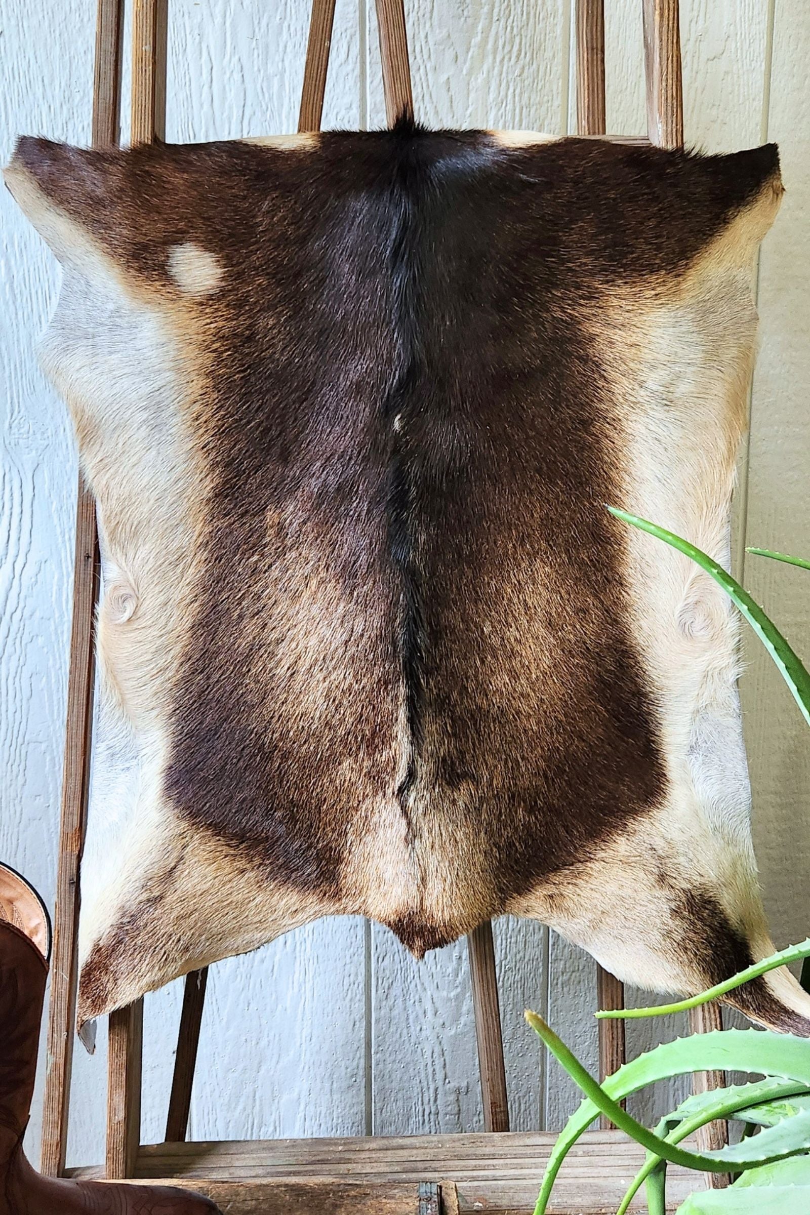 Brown & Tan Goat Hide Rug #460