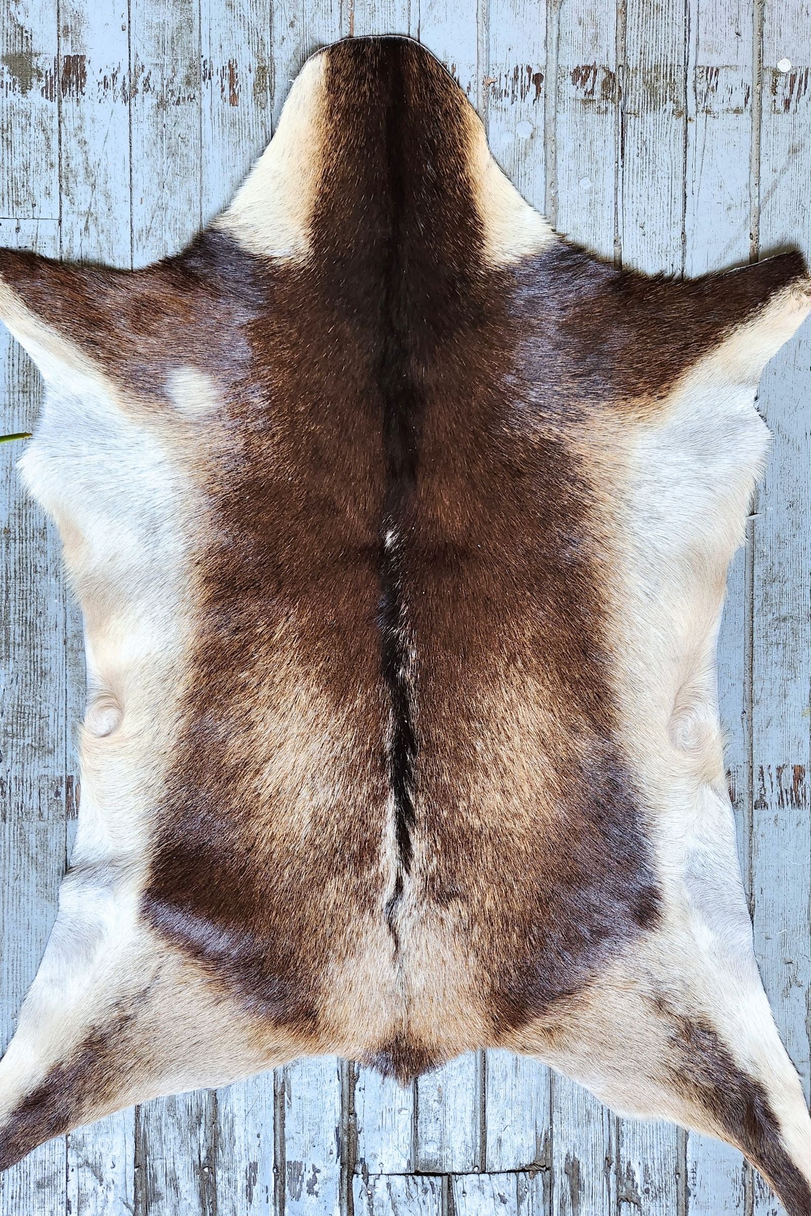 Brown & Tan Goat Hide Rug #460