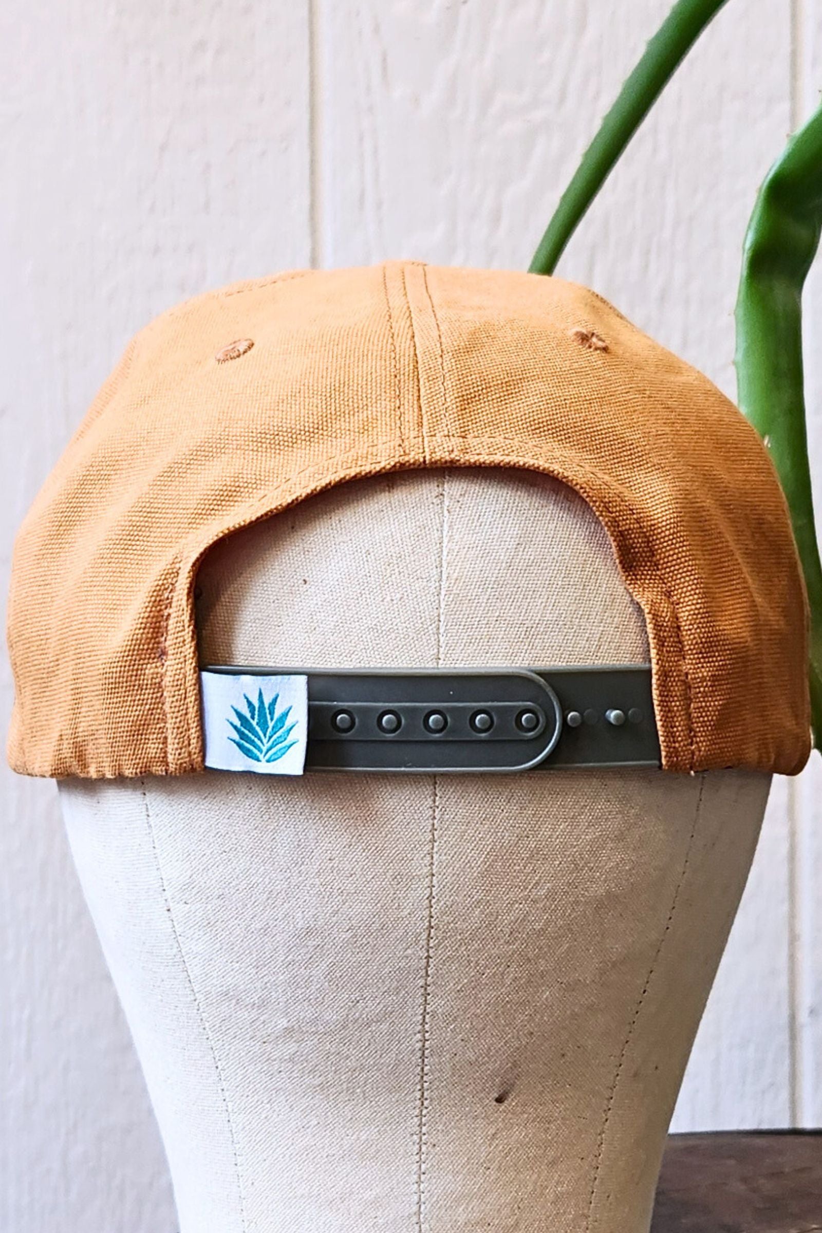 The Bear Snapback Hat