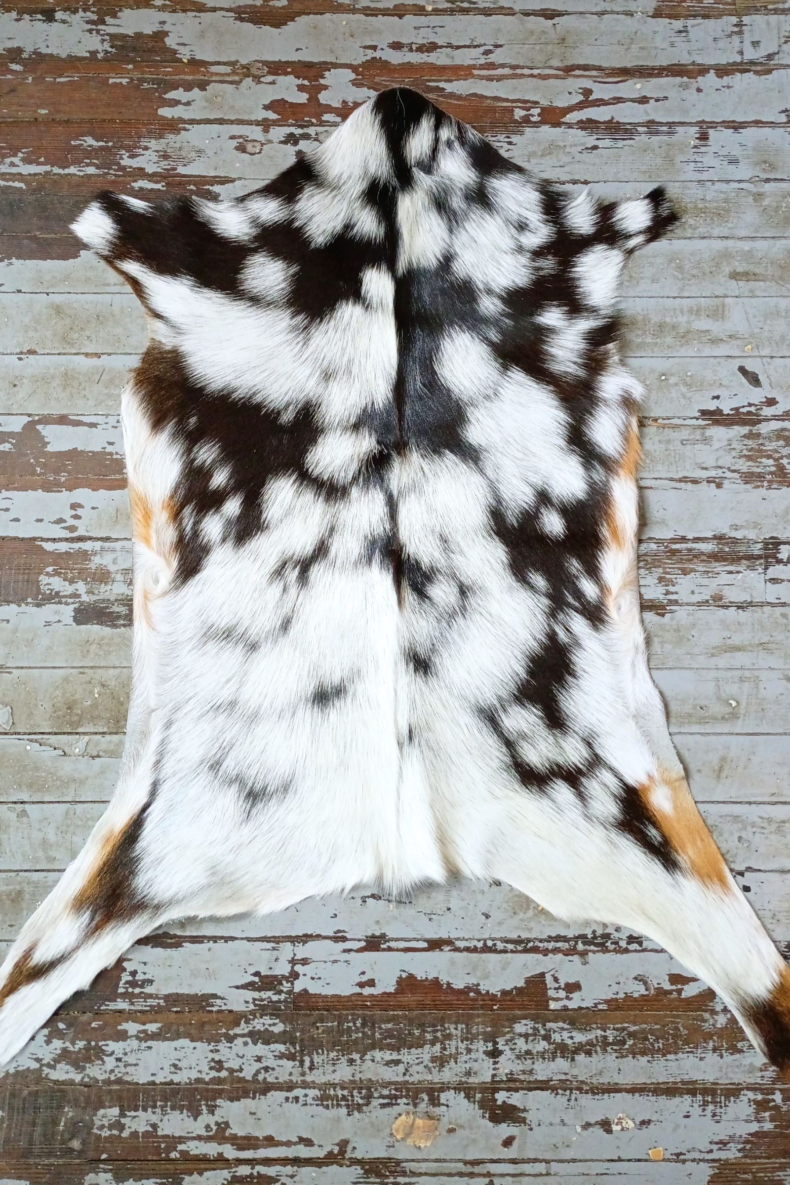 White & Black Spotted Goat Hide Rug #443