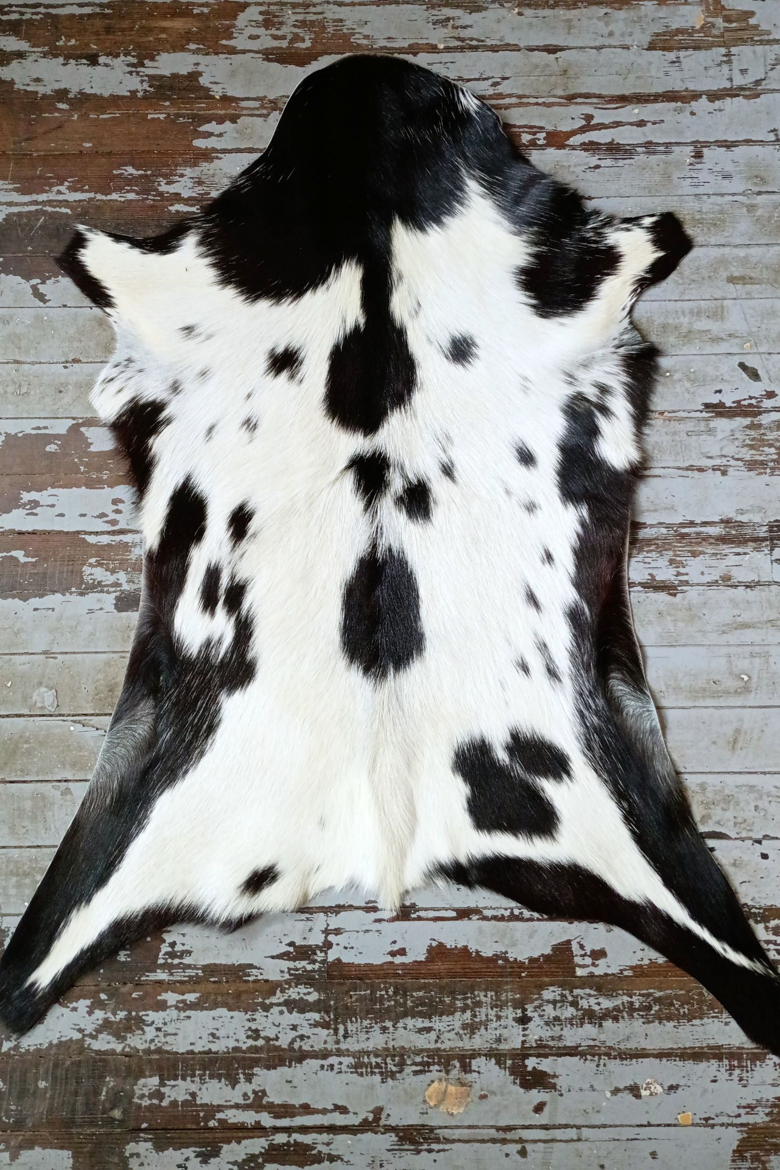 White & Black Spotted Goat Hide Rug #440