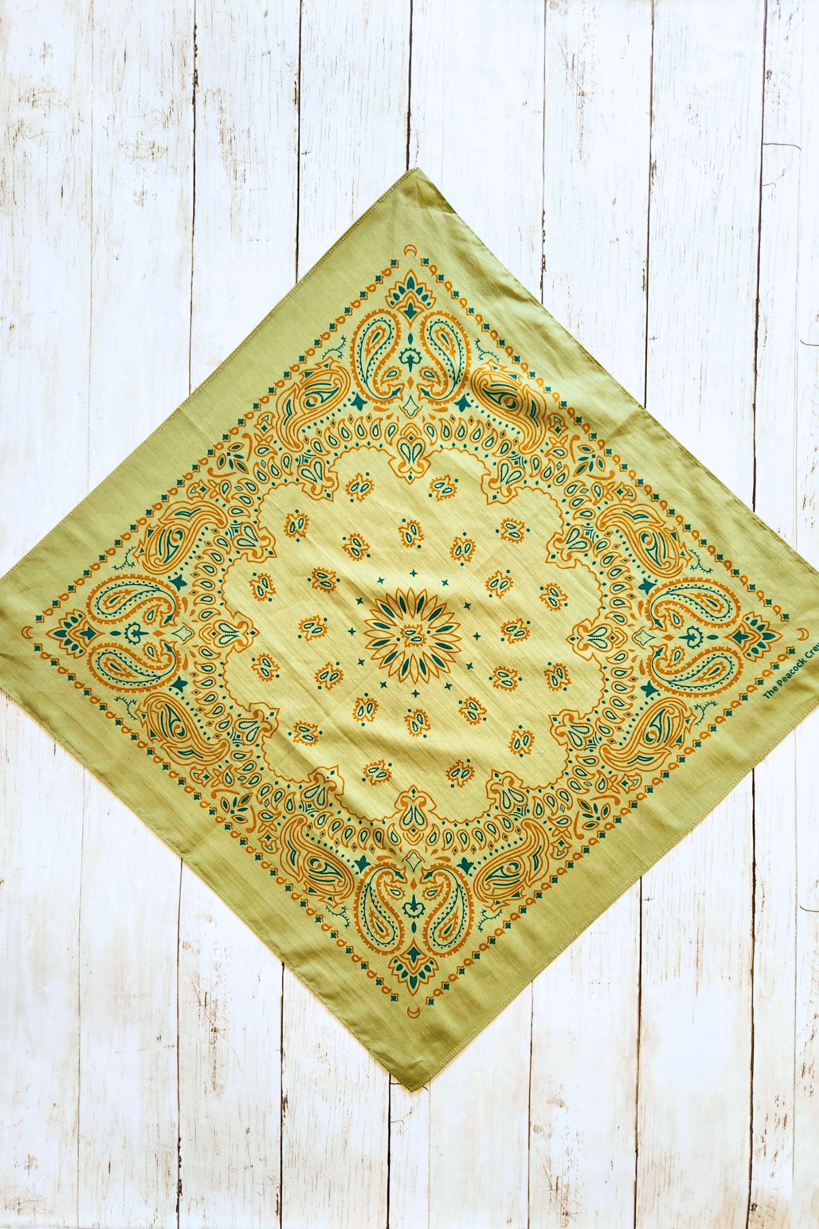 Olive & Rust Paisley Bandana