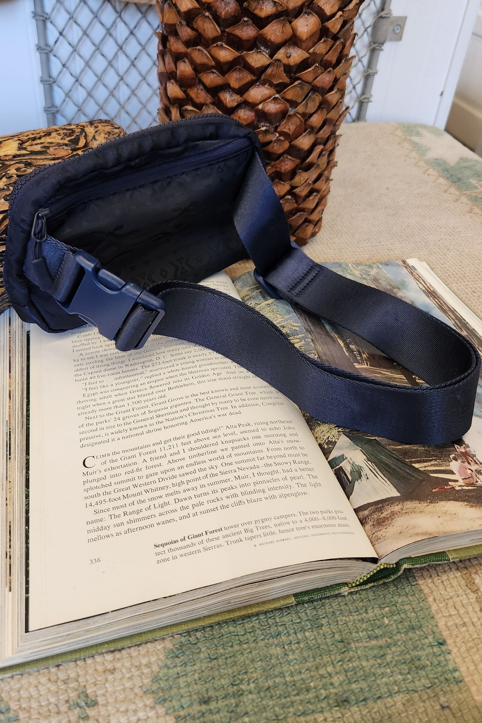 CC Navy Southwest Fanny Pack