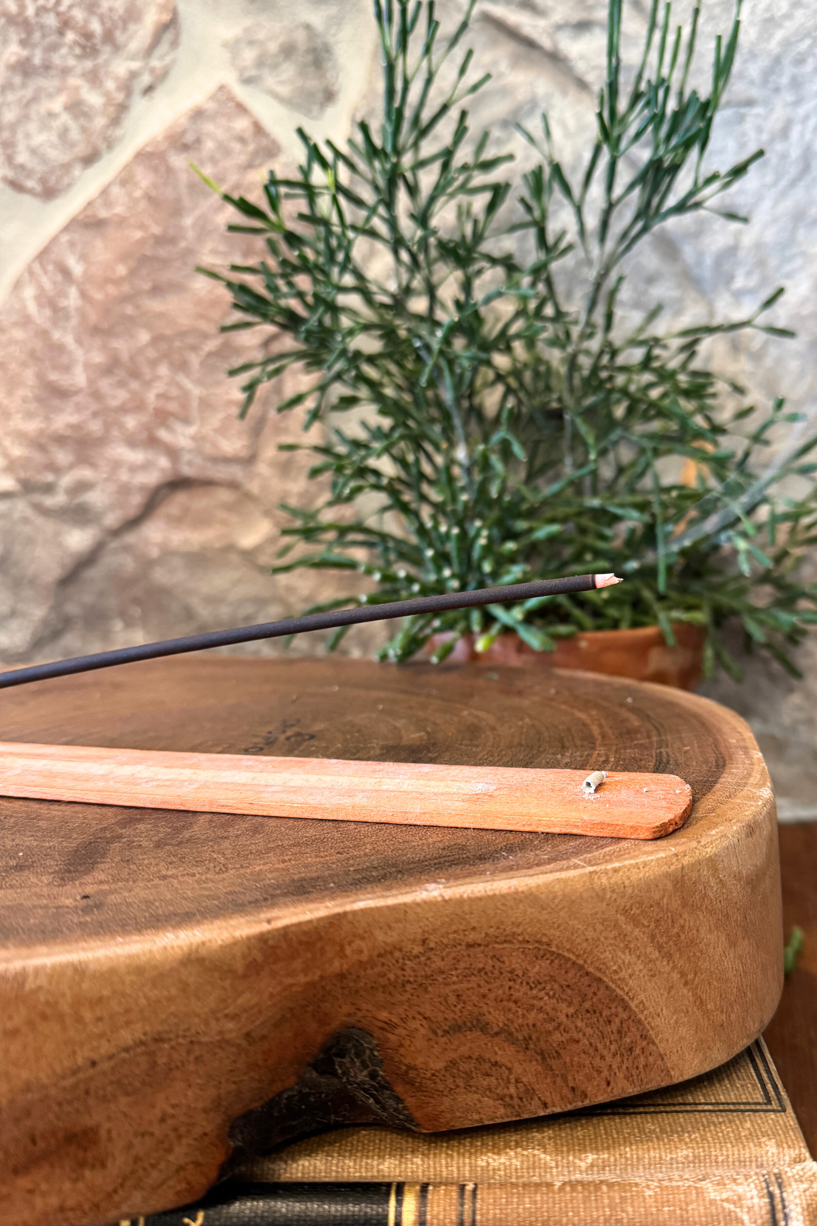 Redwoods Incense Pack