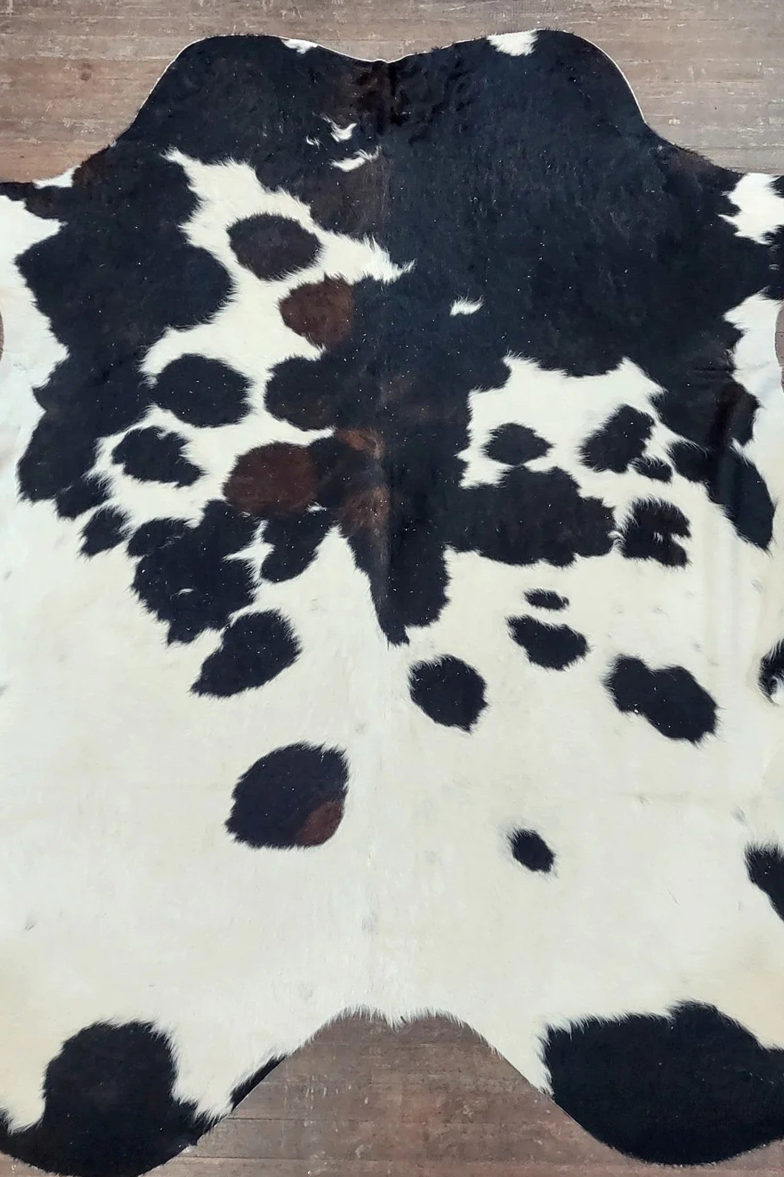 Tri-Color Spotted Cowhide Rug #2855