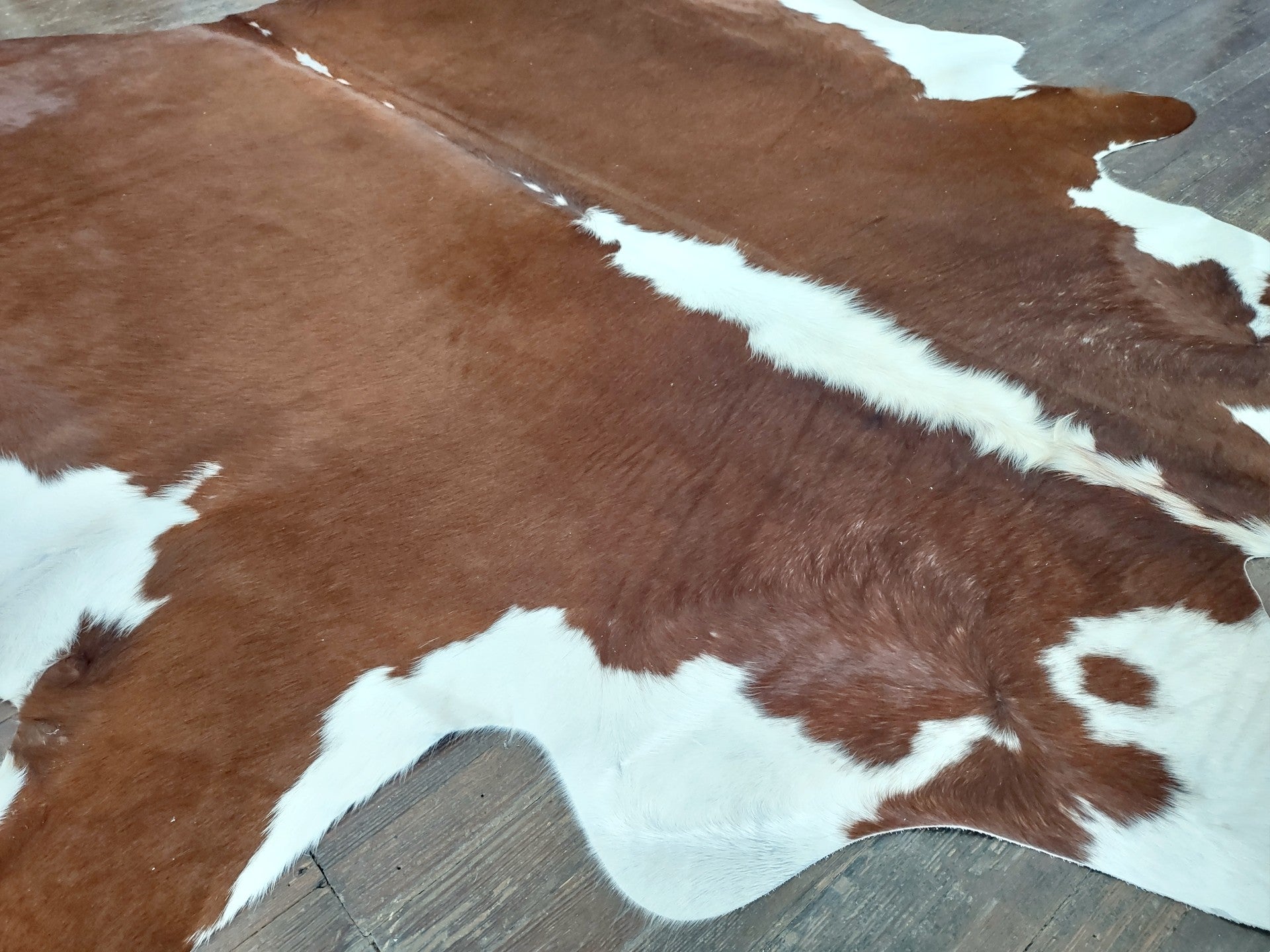 Reddish Brown & White Hereford Cowhide Rug #2876