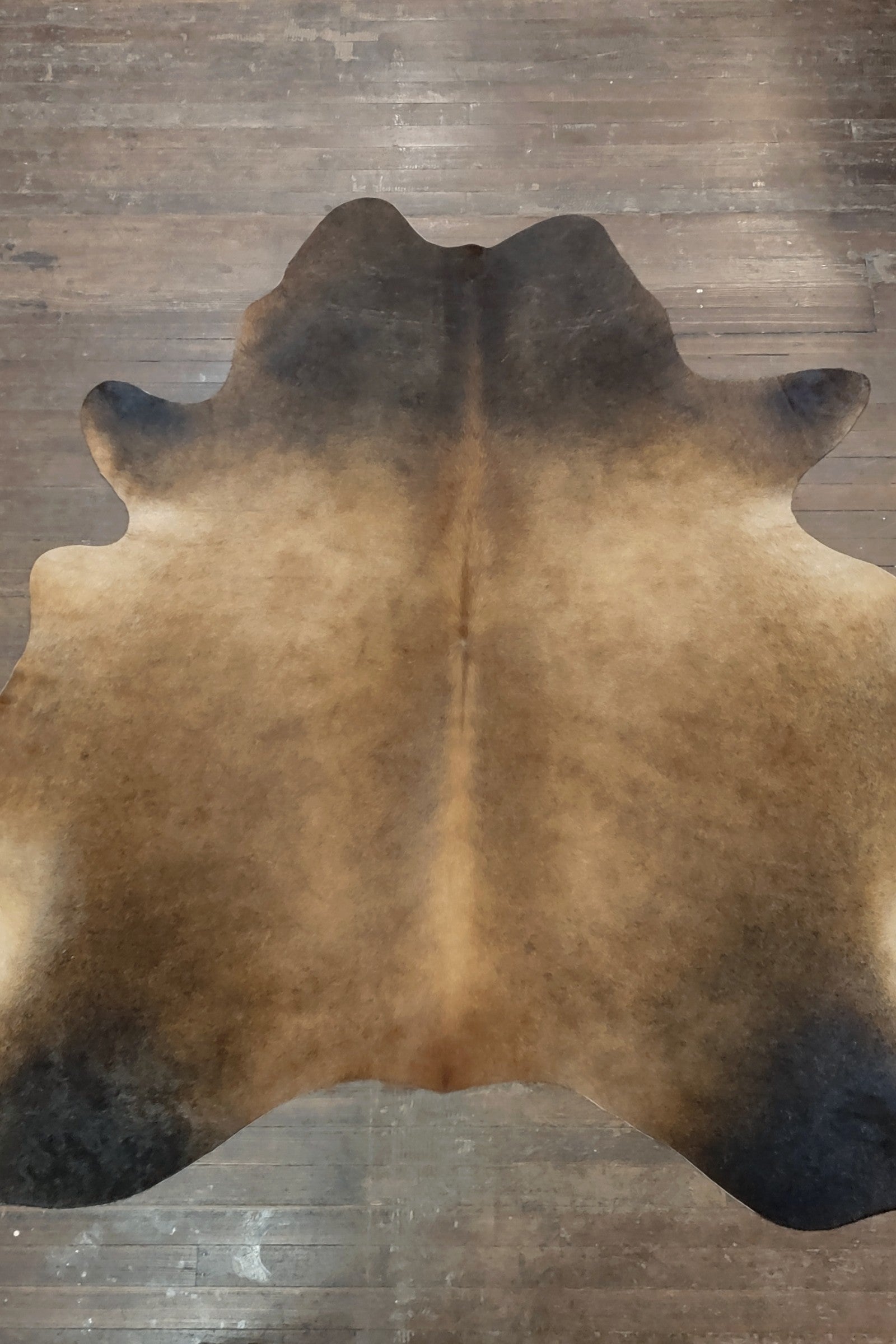 Dark Brown & Tan Cowhide Rug #2989