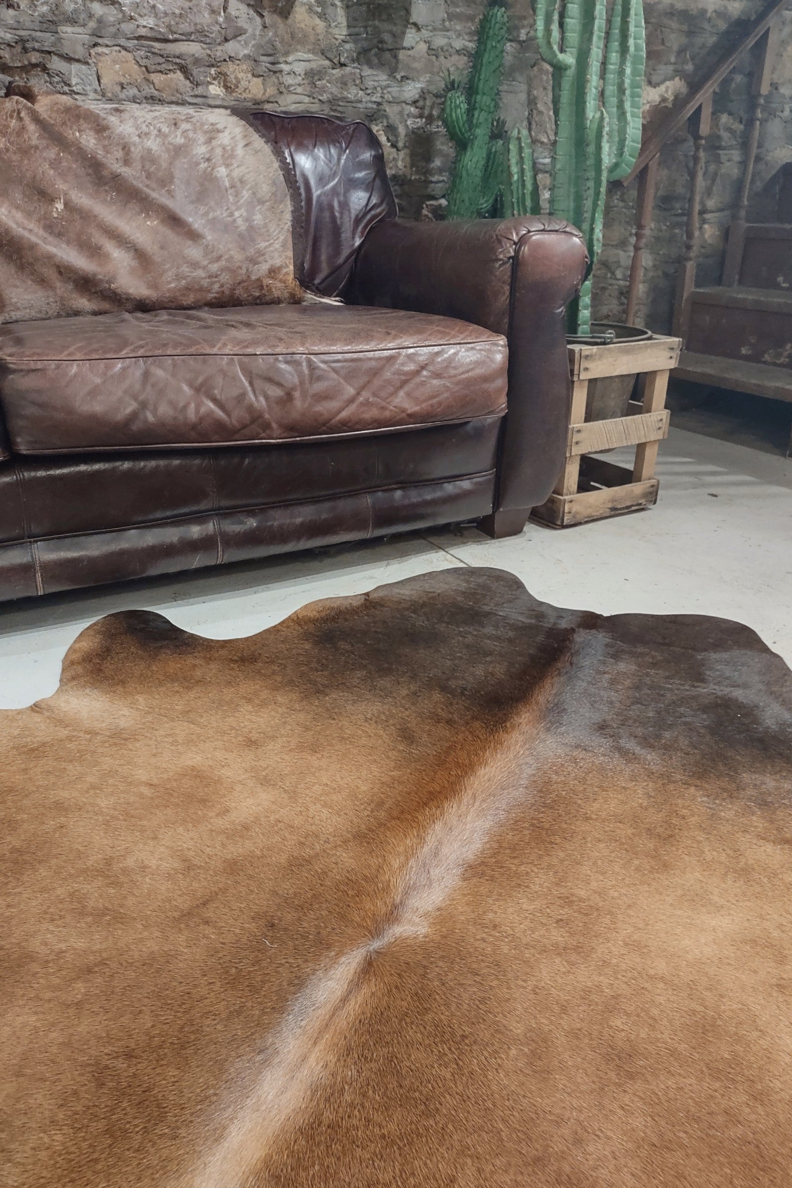 Dark Brown & Tan Cowhide Rug #2989