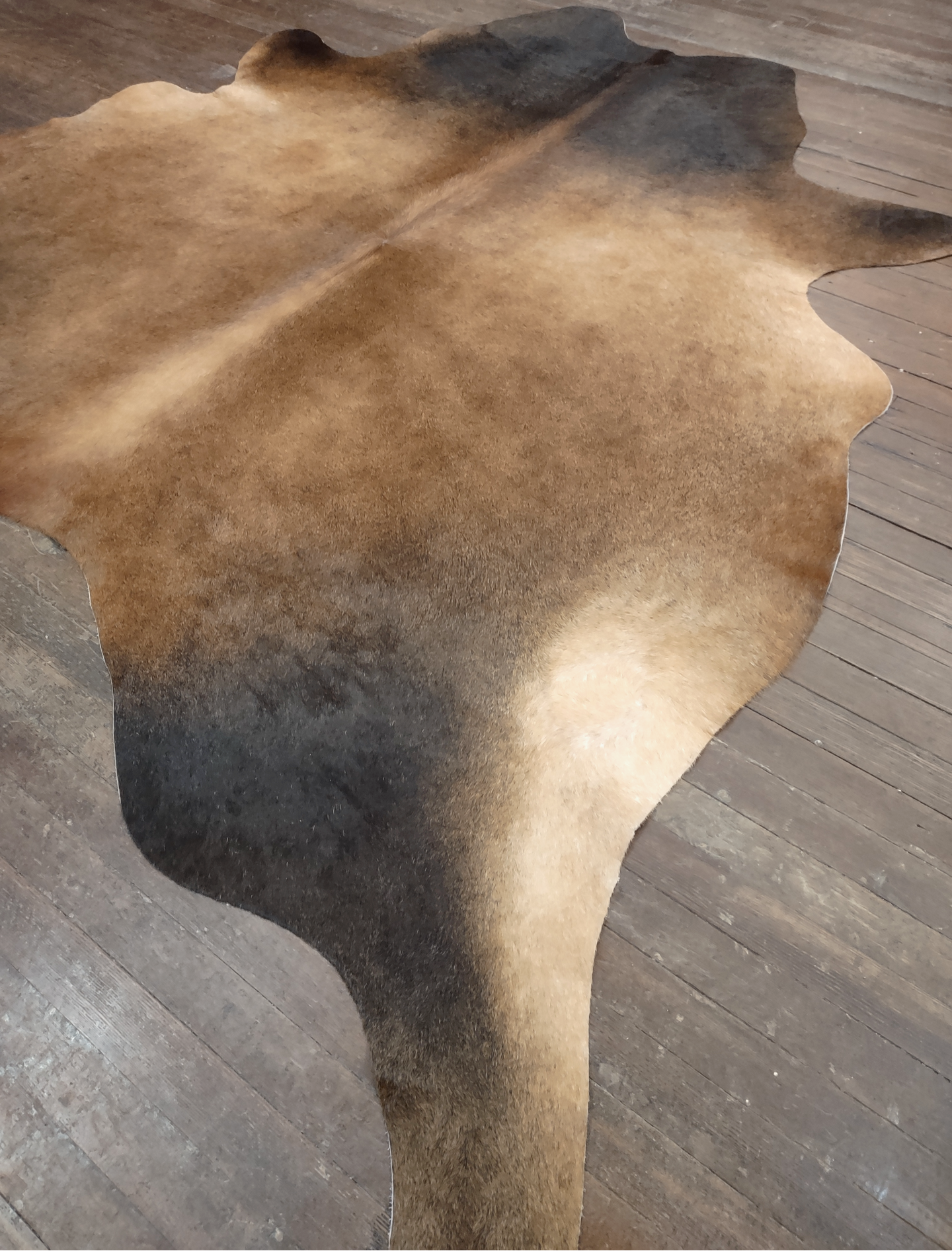 Dark Brown & Tan Cowhide Rug #2989