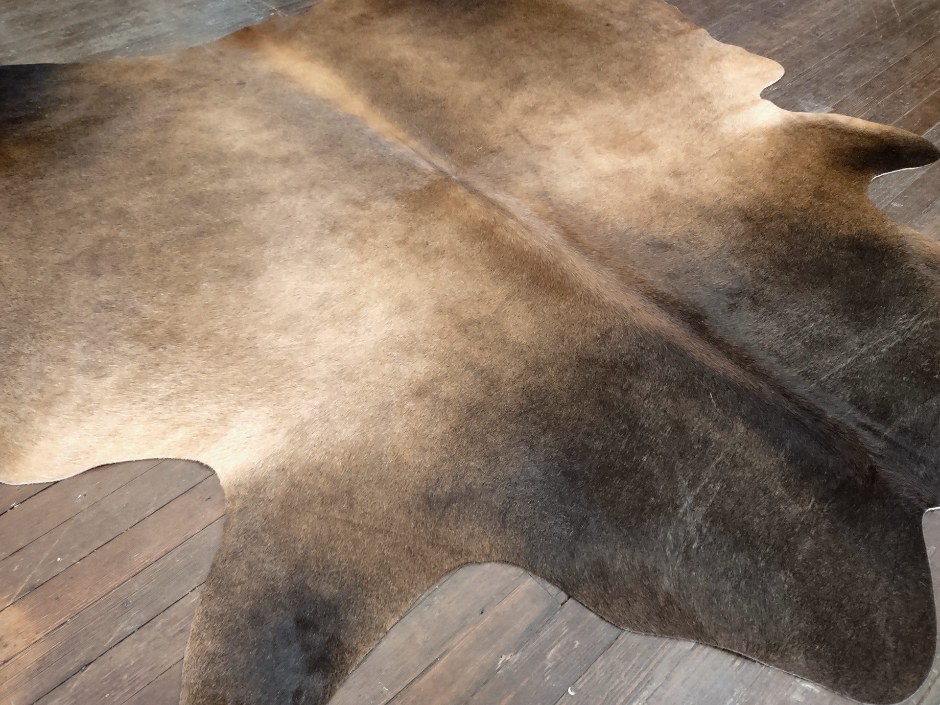 Dark Brown & Tan Cowhide Rug #2989