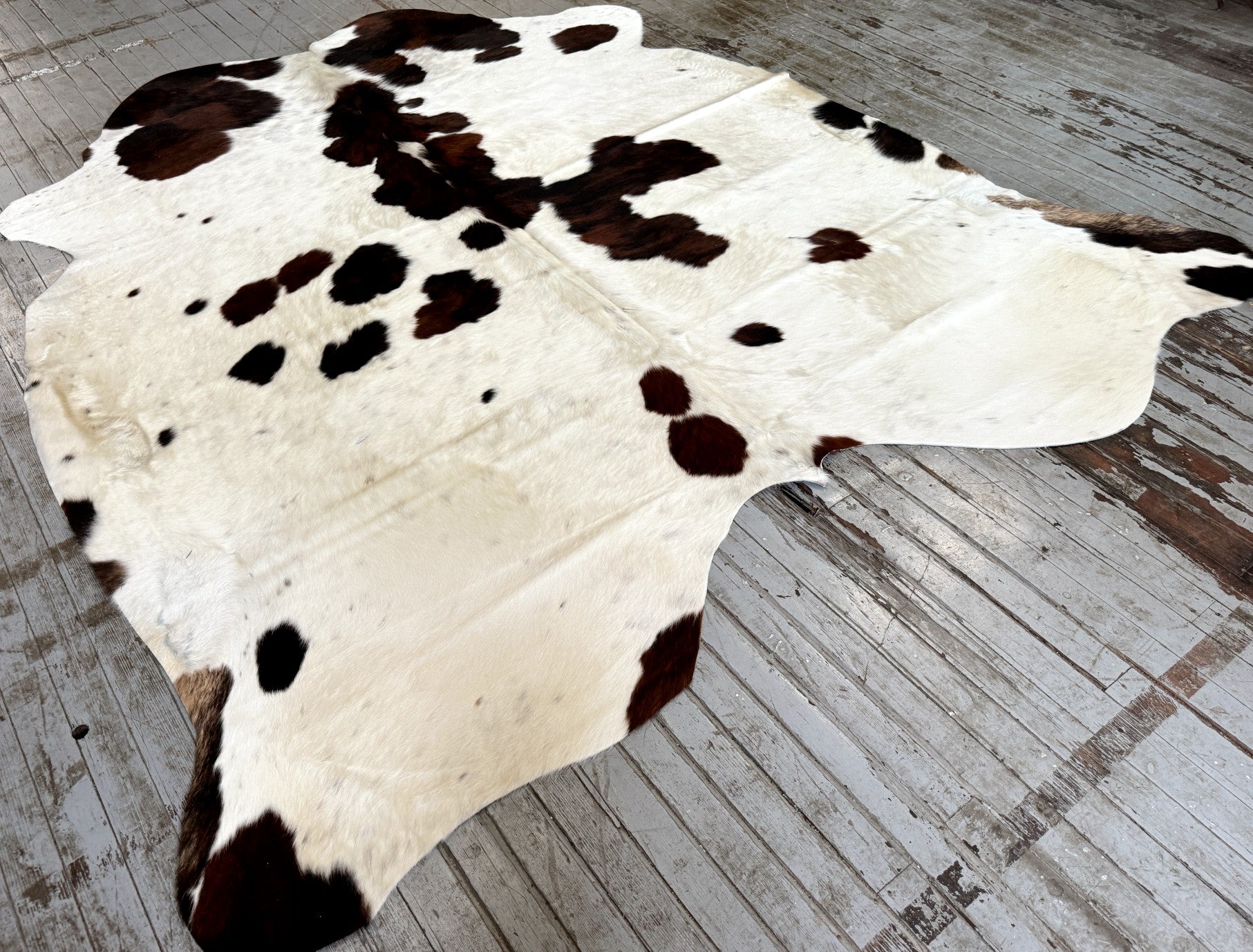 White & Dark Brown Spotted Cowhide Rug #3094